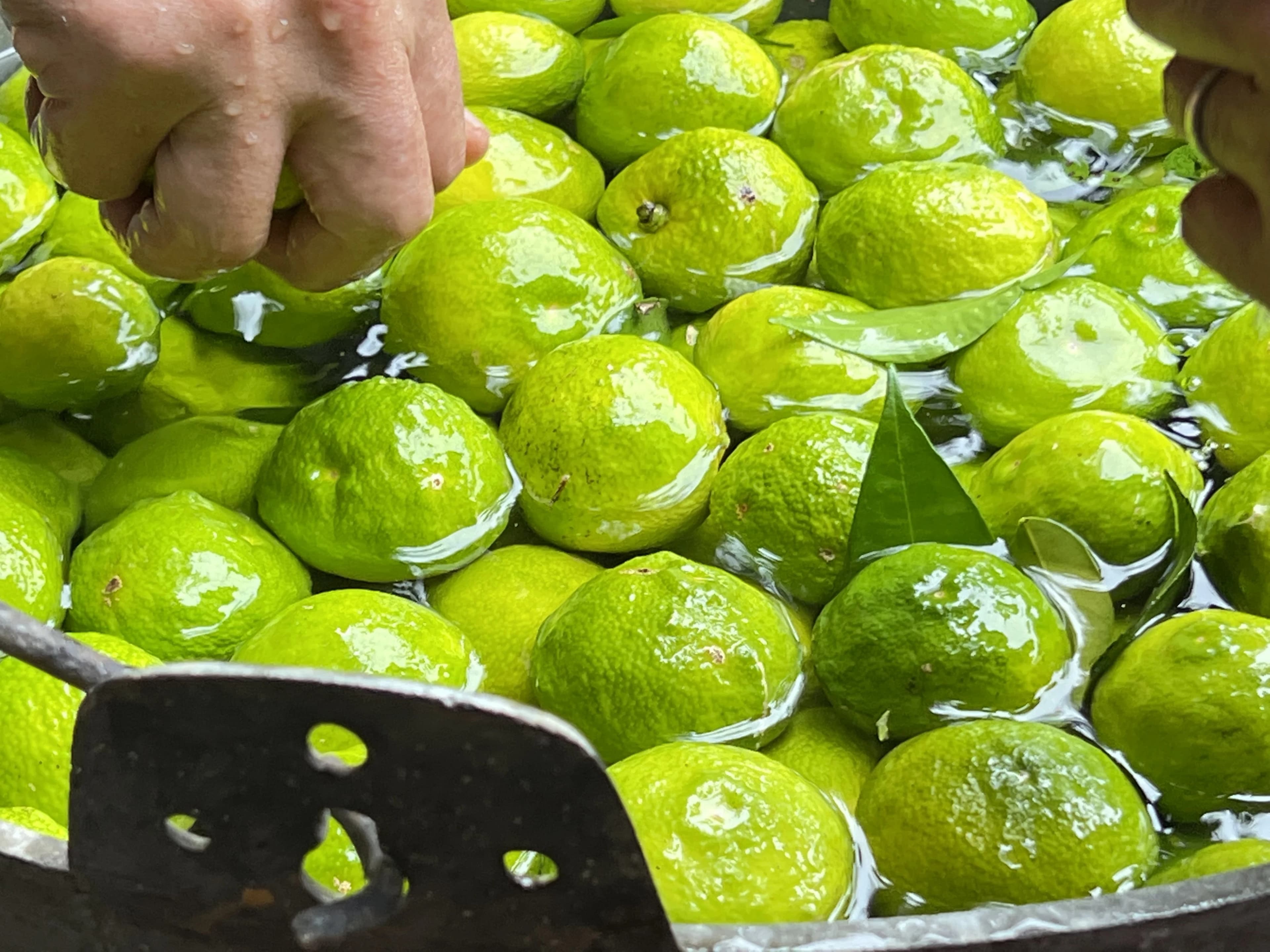 藤野料理教室にじ 日連教室のサムネイル画像 2