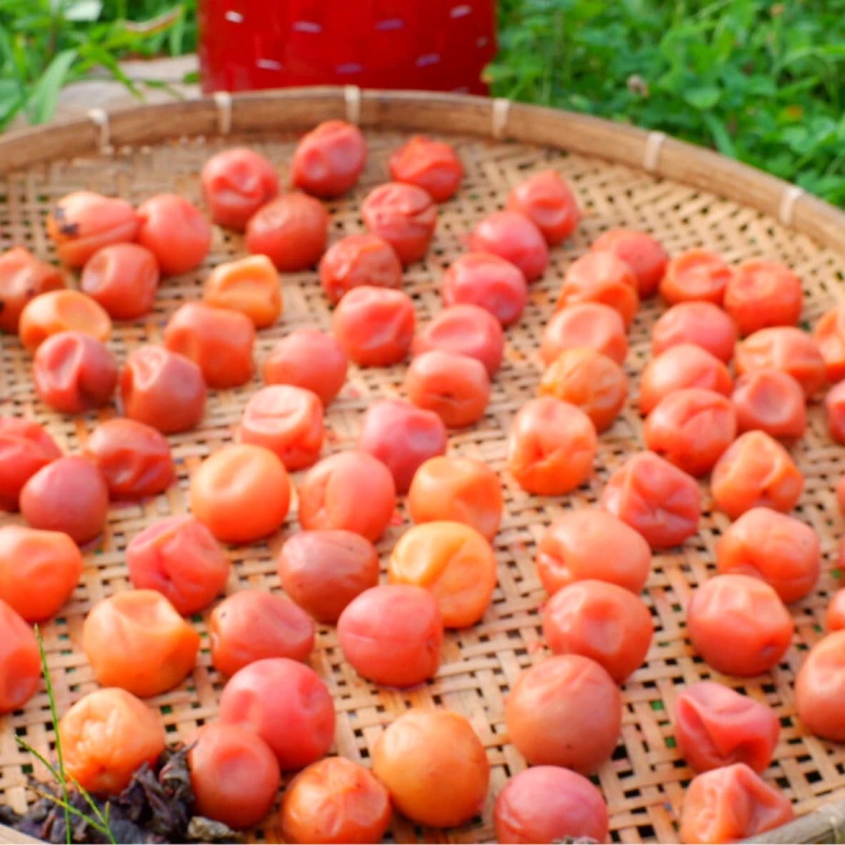 Nanohana natural cooking 大平教室 画像 19