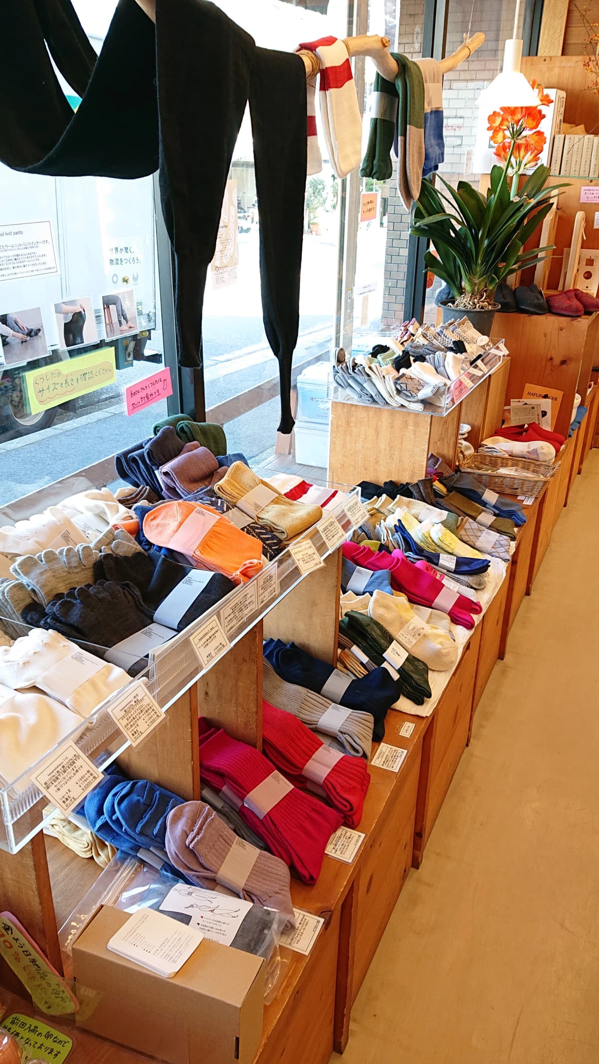 野菜がごちそう料理教室 ゾンネガルテン 画像 26