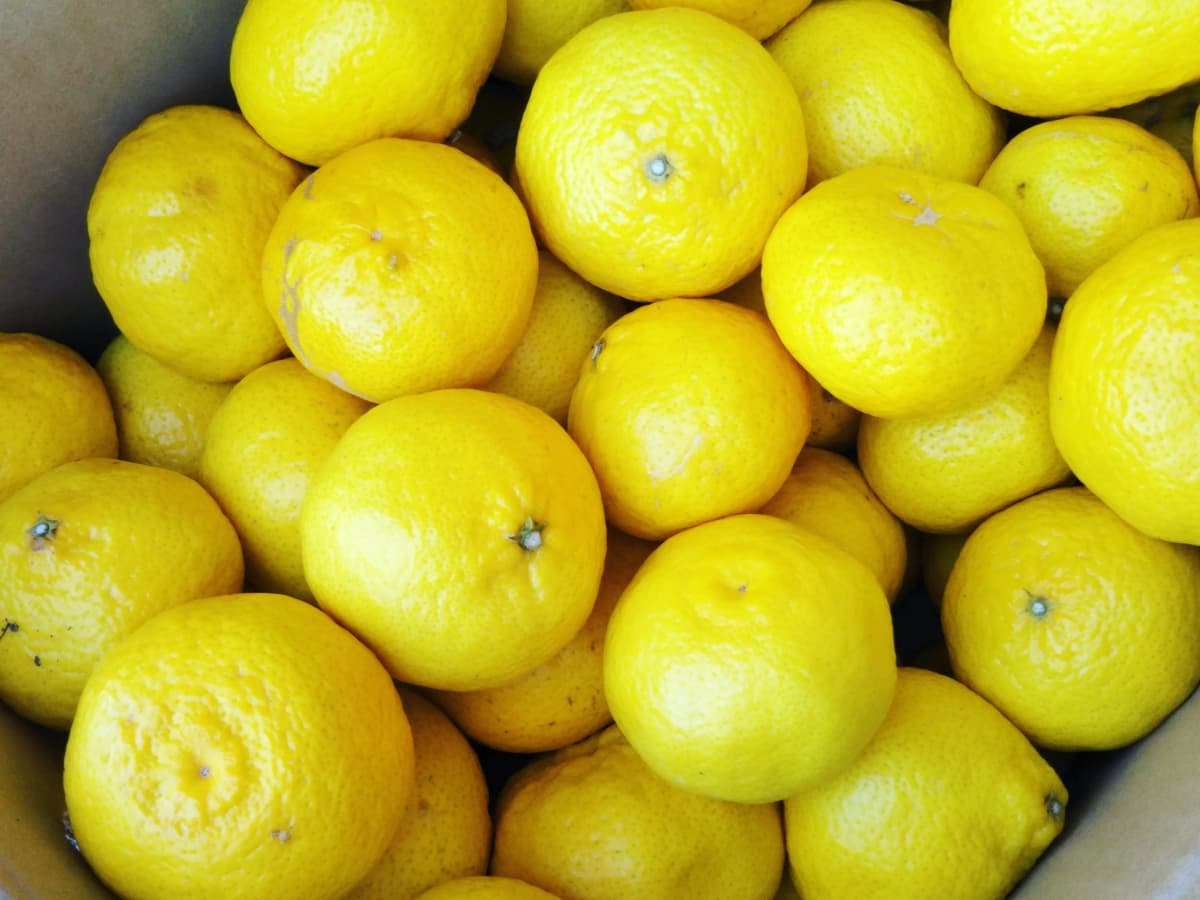 野菜がごちそう料理教室 ゾンネガルテン 画像 29