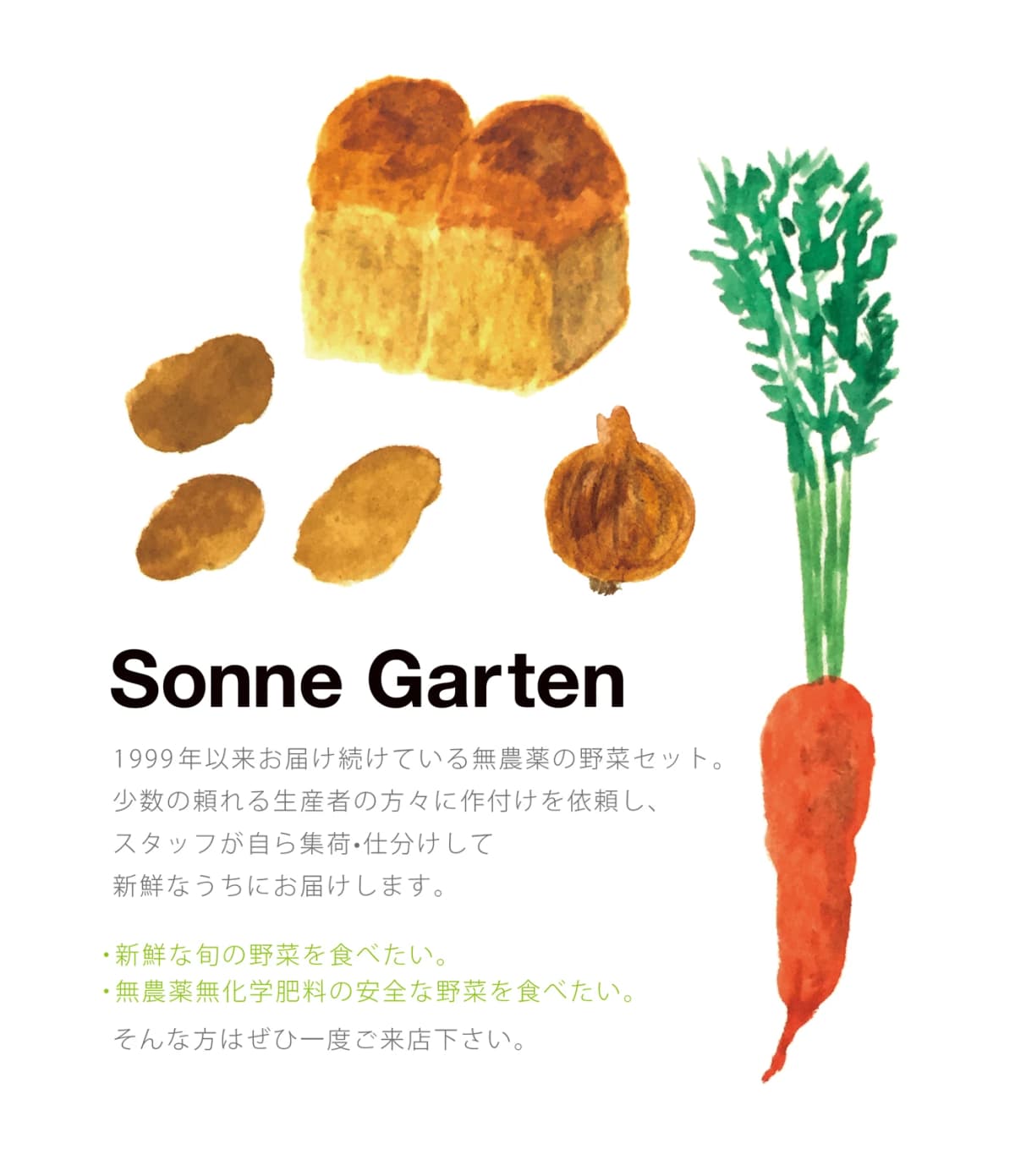 野菜がごちそう料理教室 ゾンネガルテン 画像 30