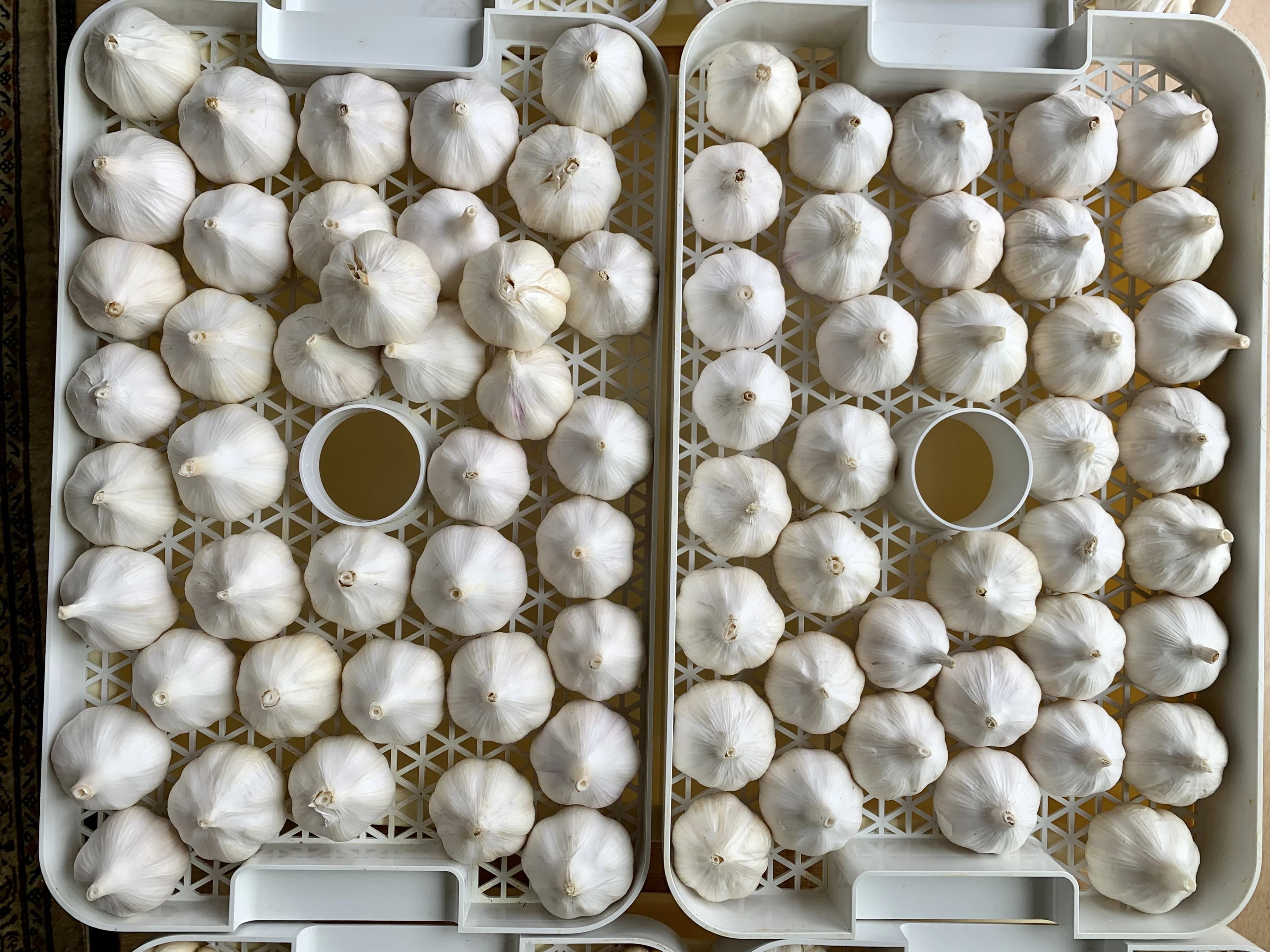 かるがもキッチンスタジオ 可部教室のサムネイル画像 5