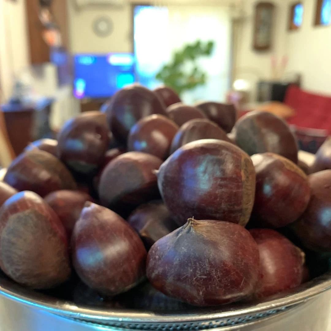 かるがもキッチンスタジオ 可部教室 画像 66