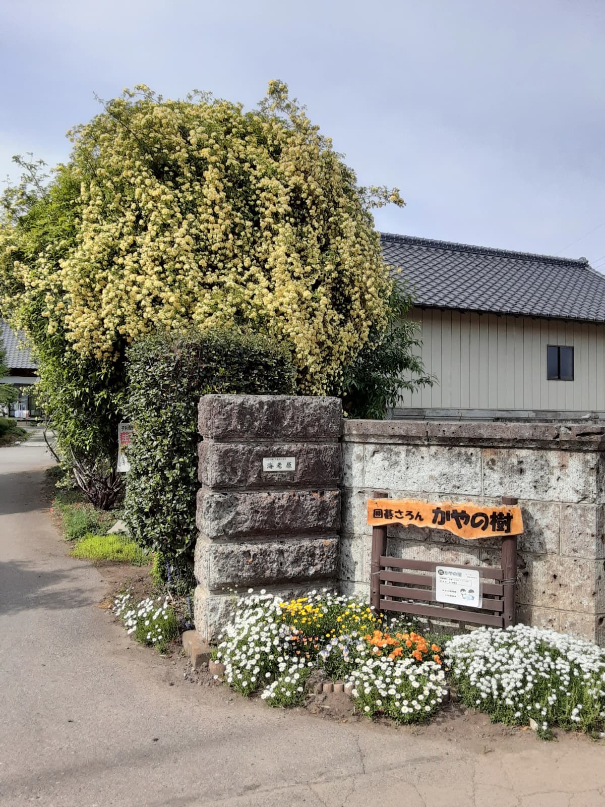 サムネイル画像 3