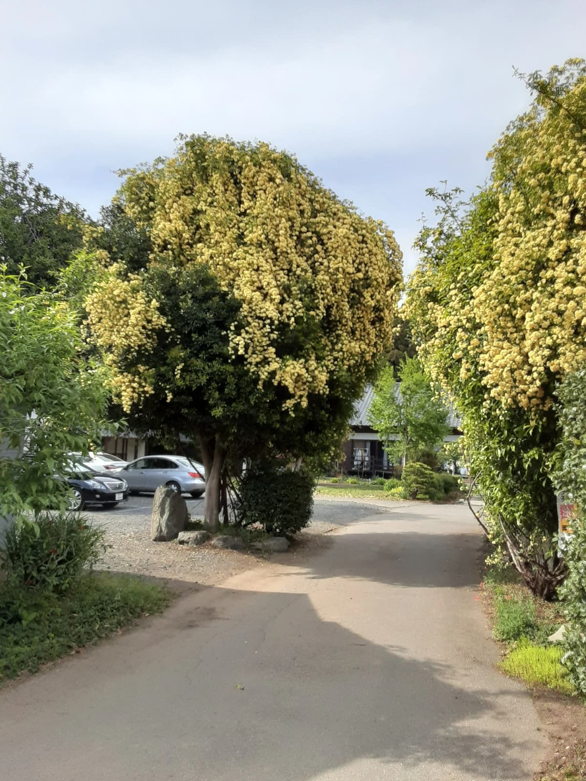 サムネイル画像 5