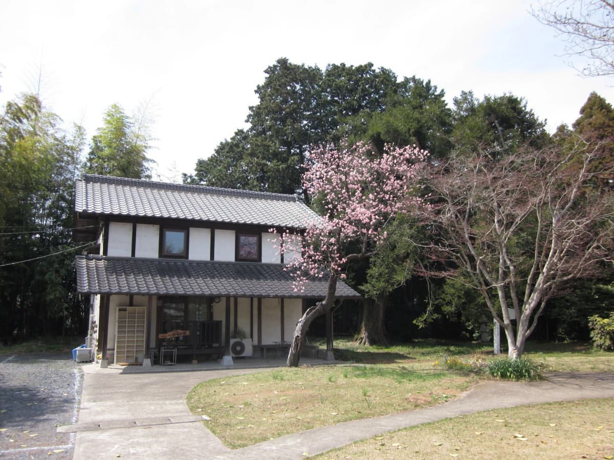 サムネイル画像 6