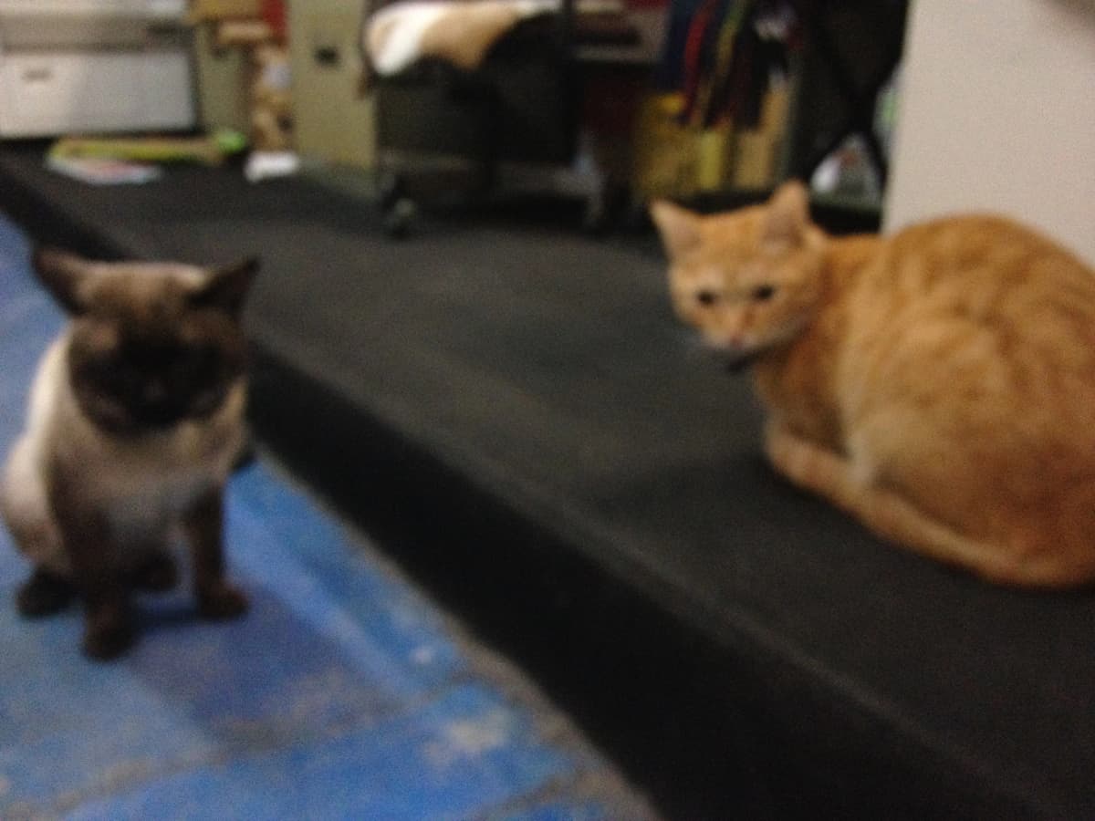 サムネイル画像 3