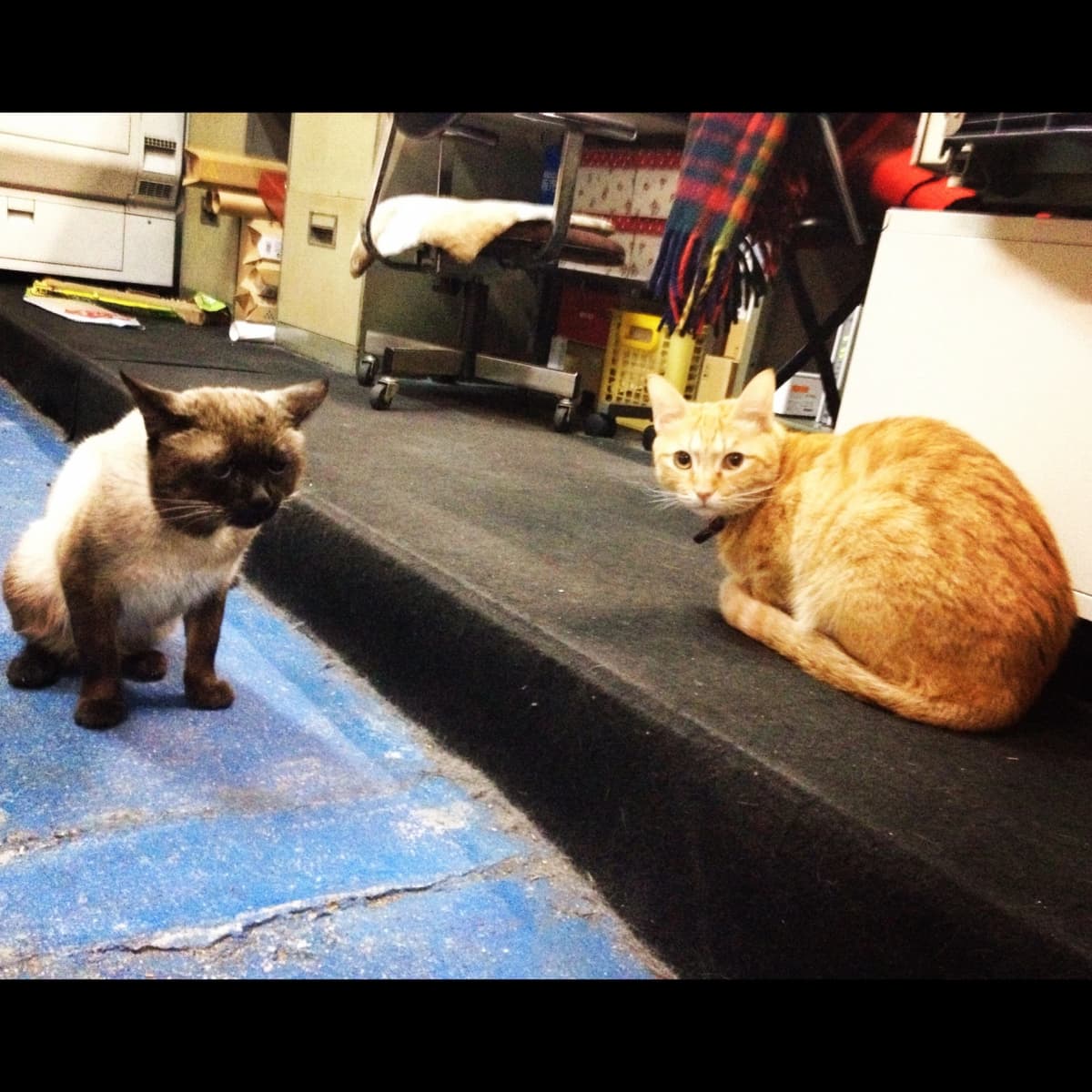 サムネイル画像 5