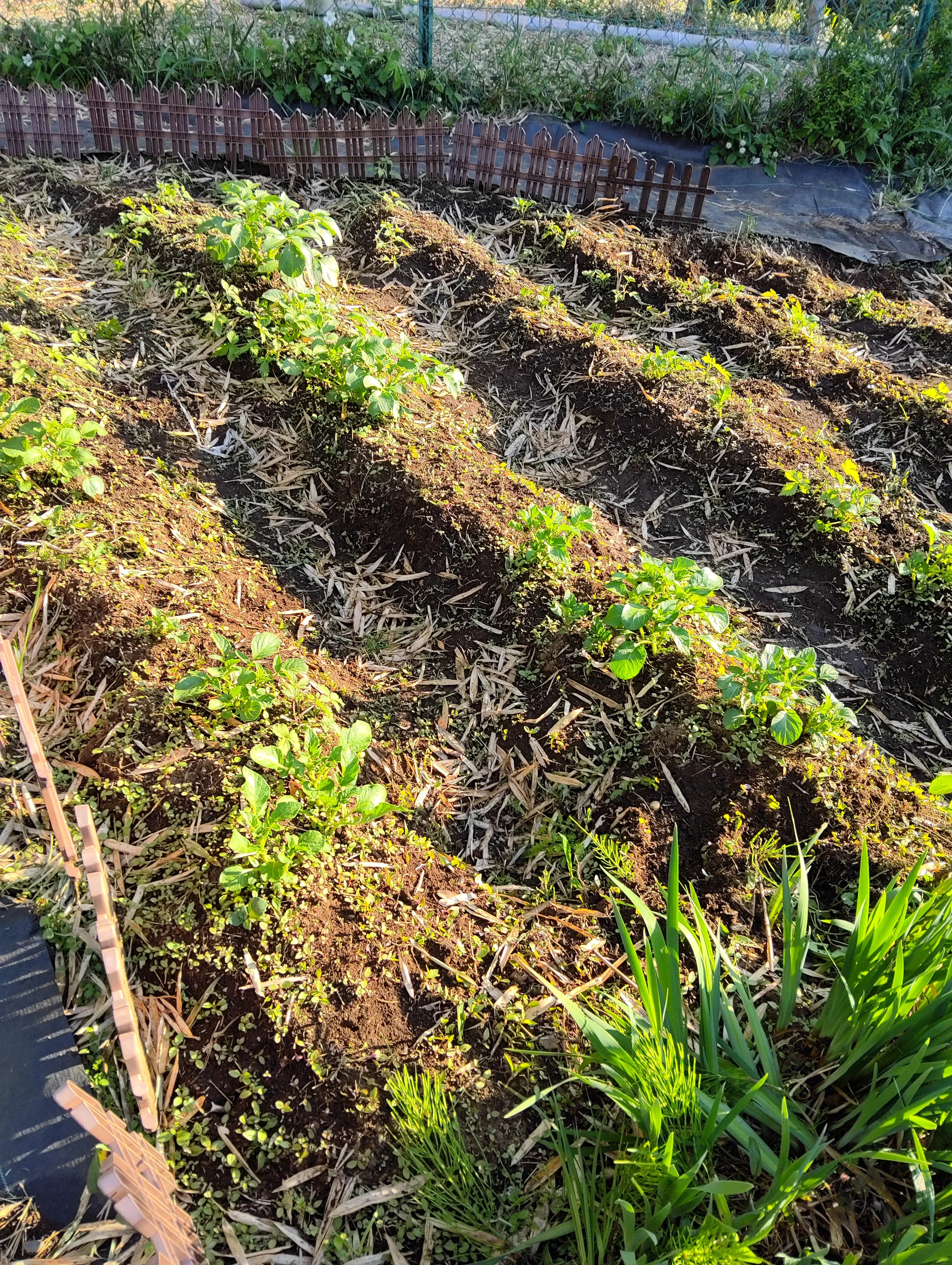 おかしの木 療育（発達支援） 新吉田のメイン画像