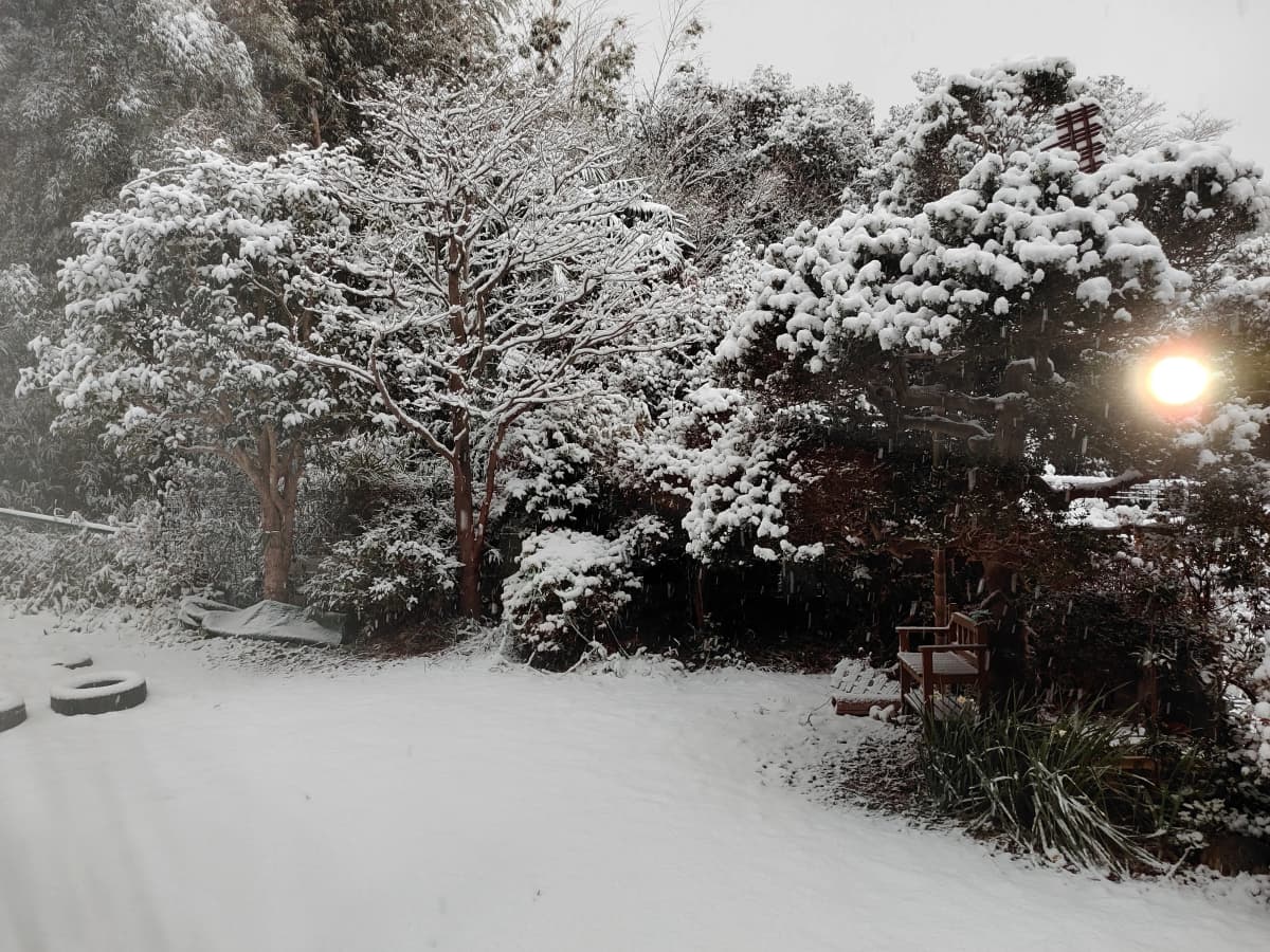 サムネイル画像 4