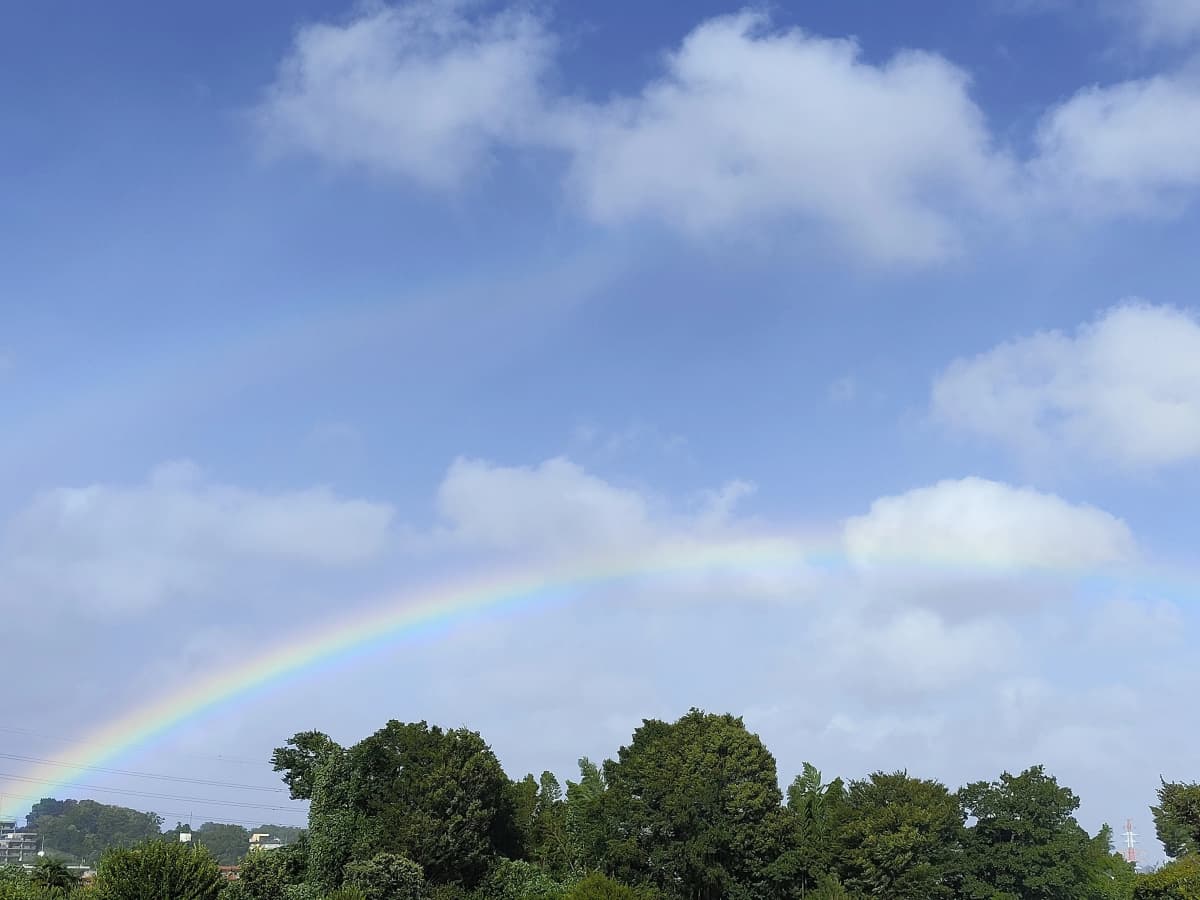 サムネイル画像 5