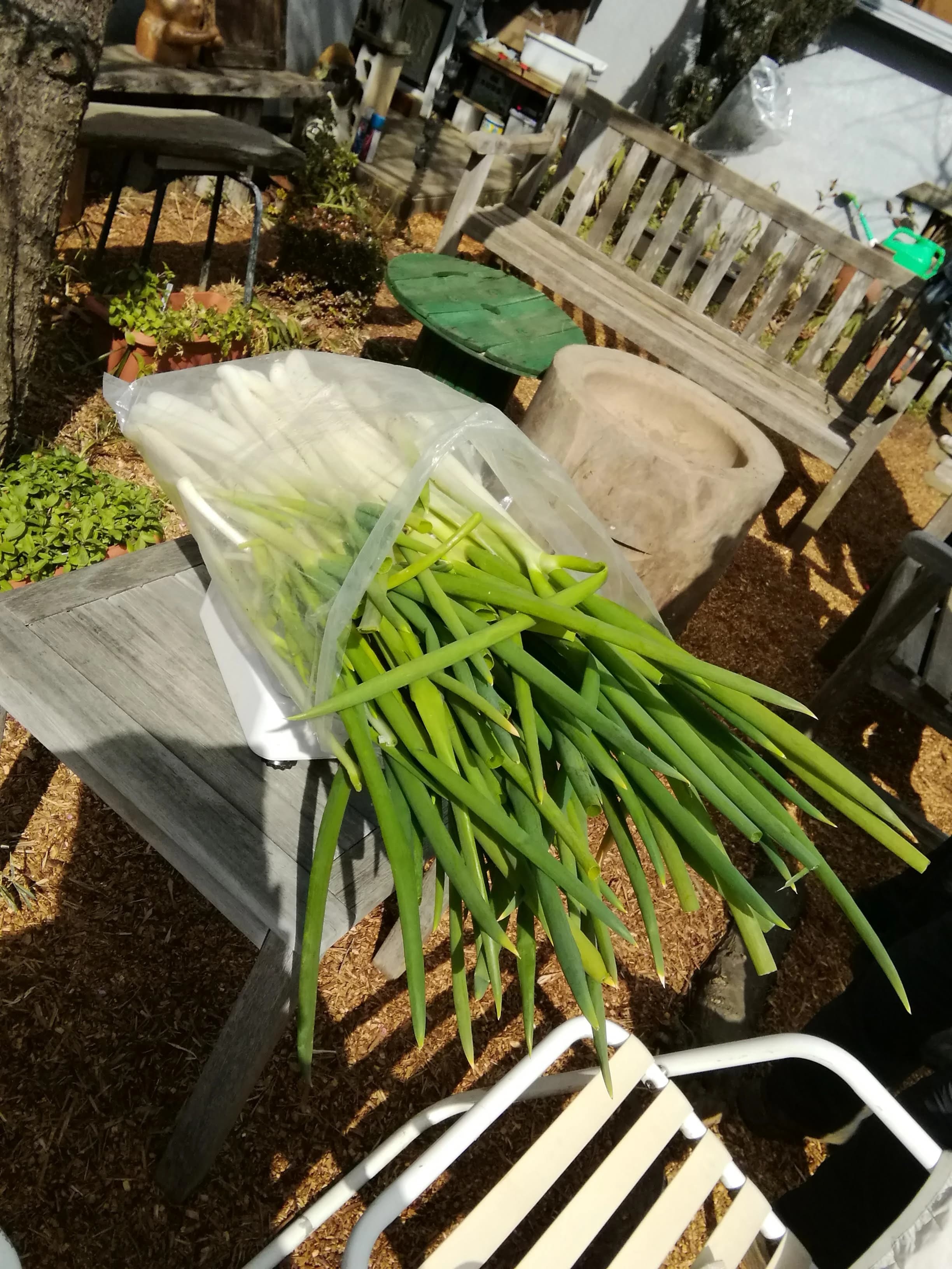 アトリエGIFT 療育（発達支援） Bigのメイン画像