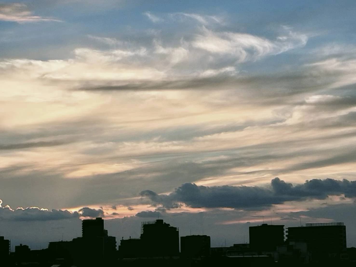 ふれあい 療育（発達支援） 妙典教室のサムネイル画像 4