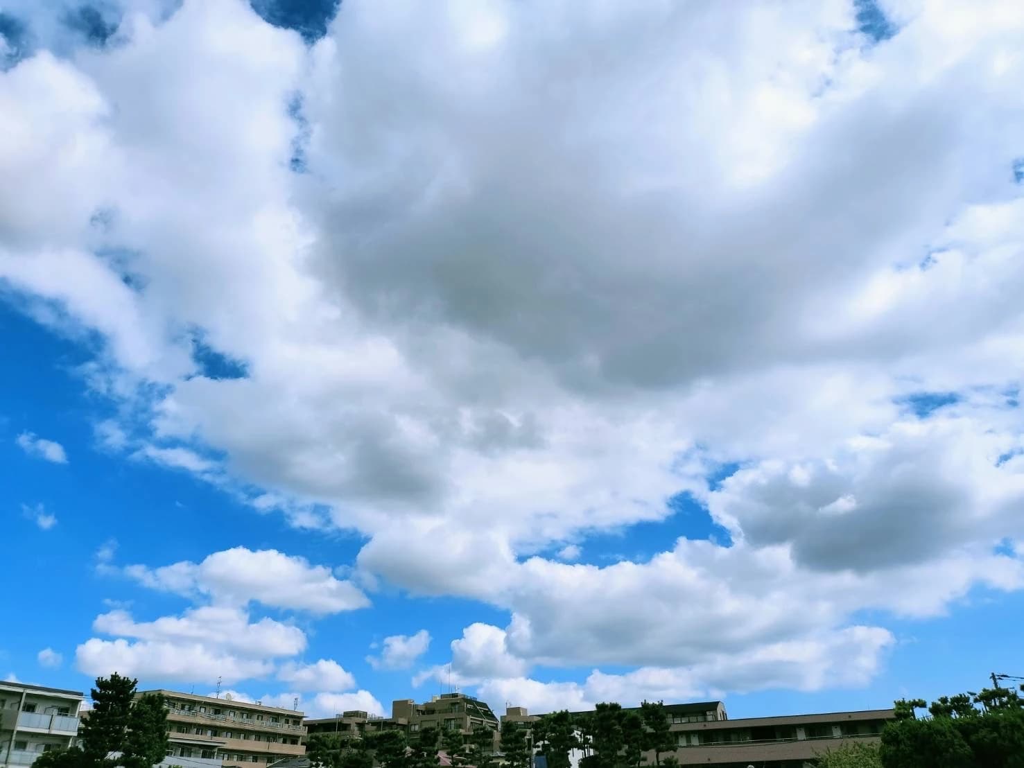 ふれあい 療育（発達支援） 妙典教室のサムネイル画像 5