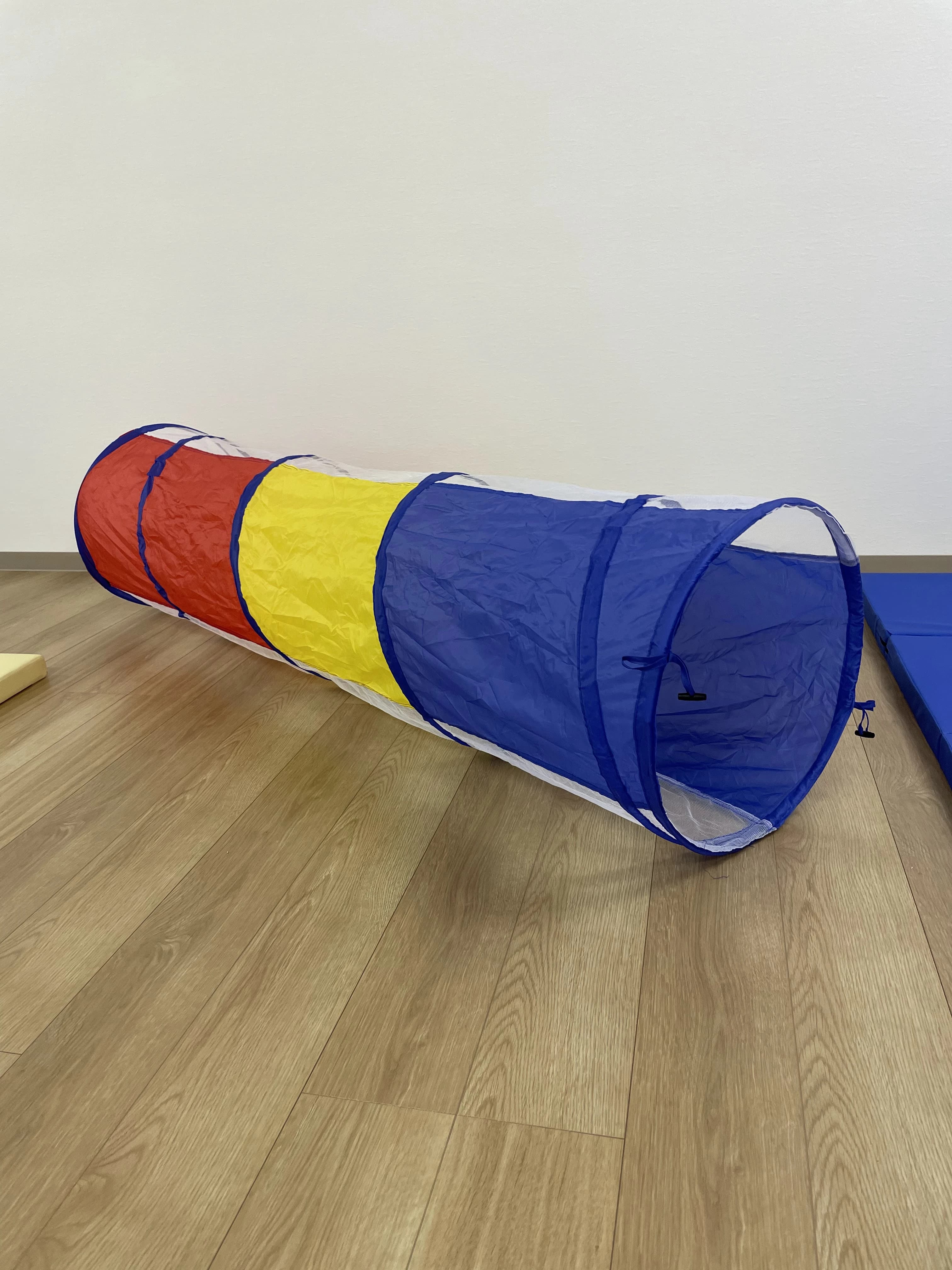 えんりっち 療育（発達支援） 本校のサムネイル画像 4