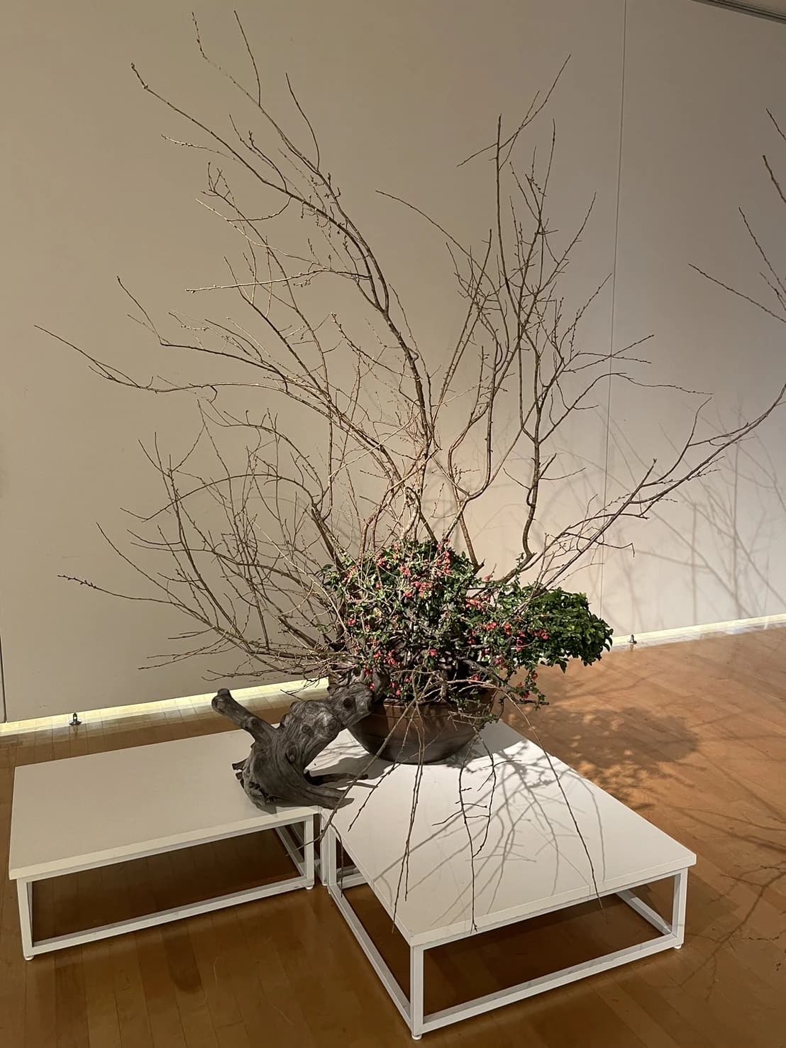 サムネイル画像 5