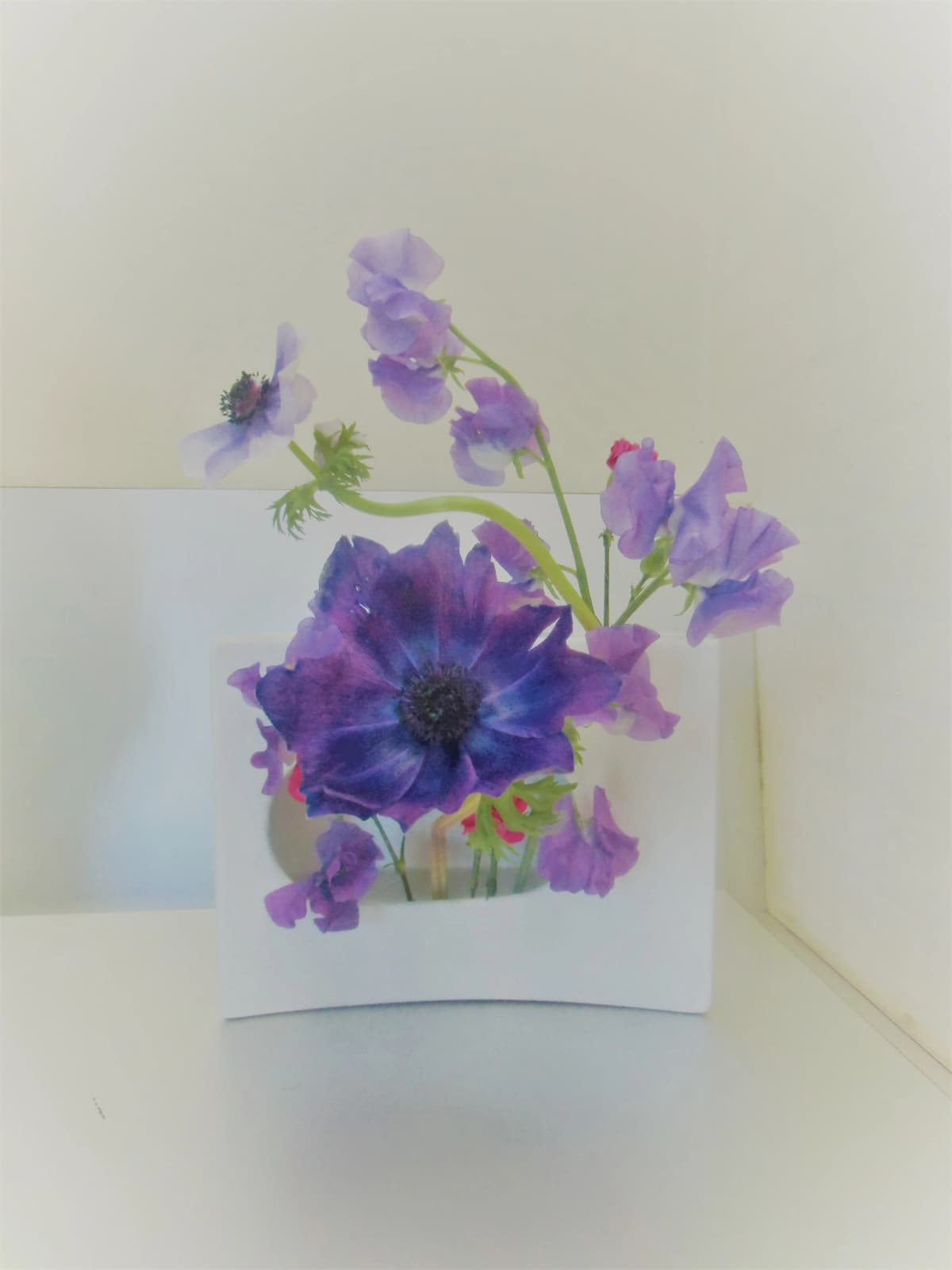 サムネイル画像 5