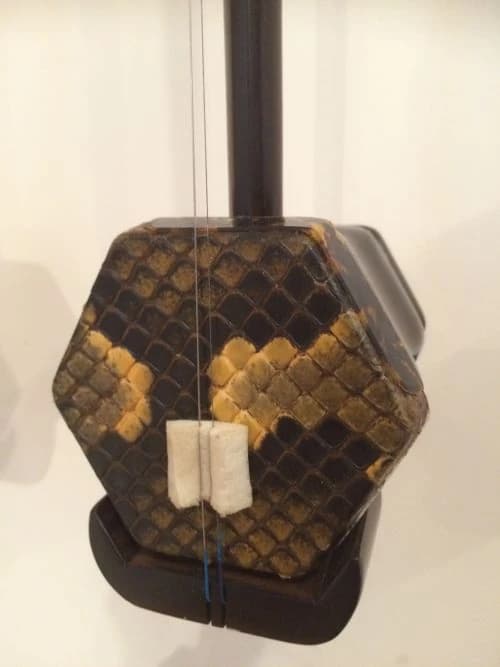 Niko Music Labo(ニコミュージックラボ) 二胡教室 入江教室 画像 9