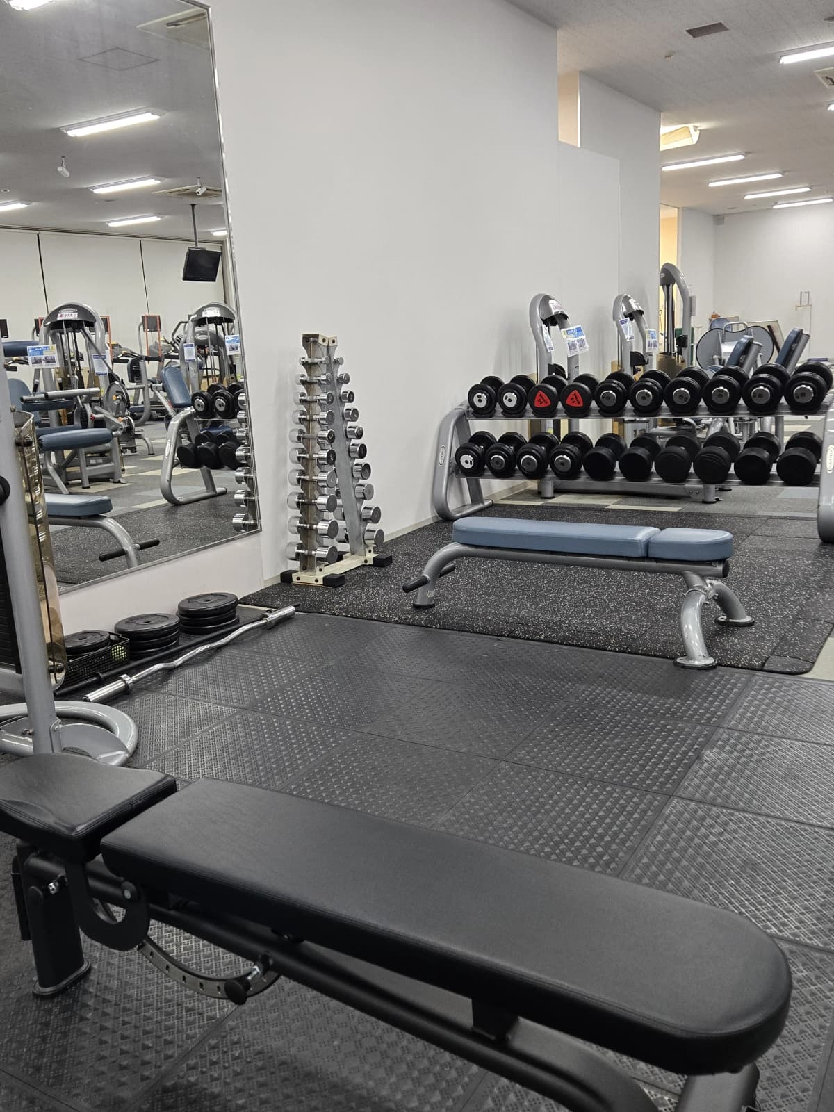 サムネイル画像 6