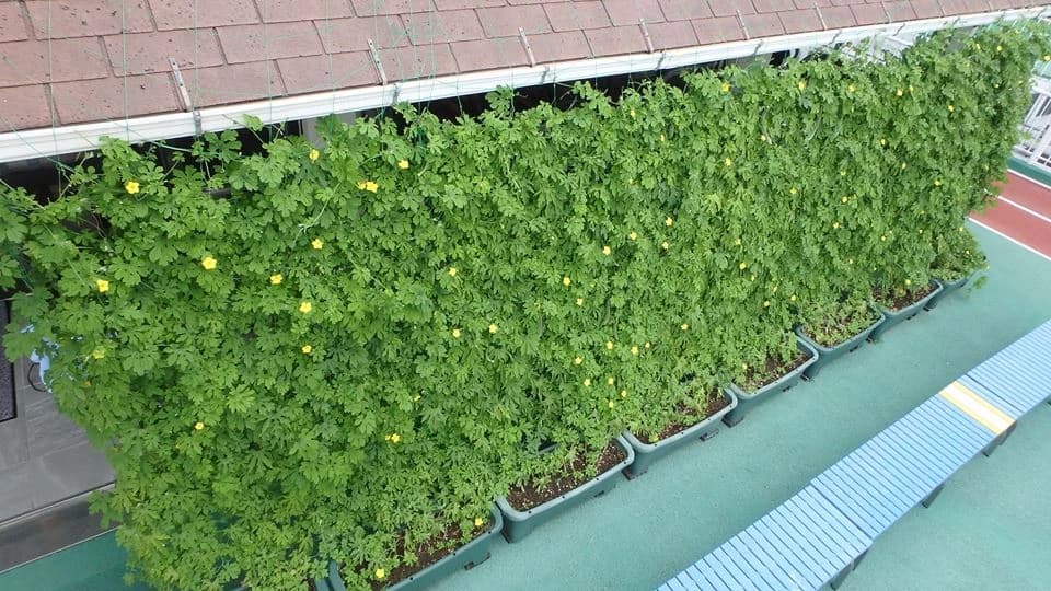 東京アスレティッククラブ バレエ TAC中野のサムネイル画像 2