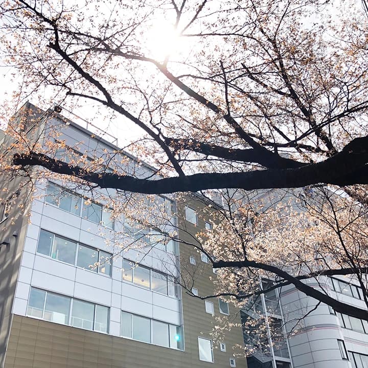 宮地楽器音楽教室 バレエ教室 MUSIC JOY市ヶ谷のサムネイル画像 2