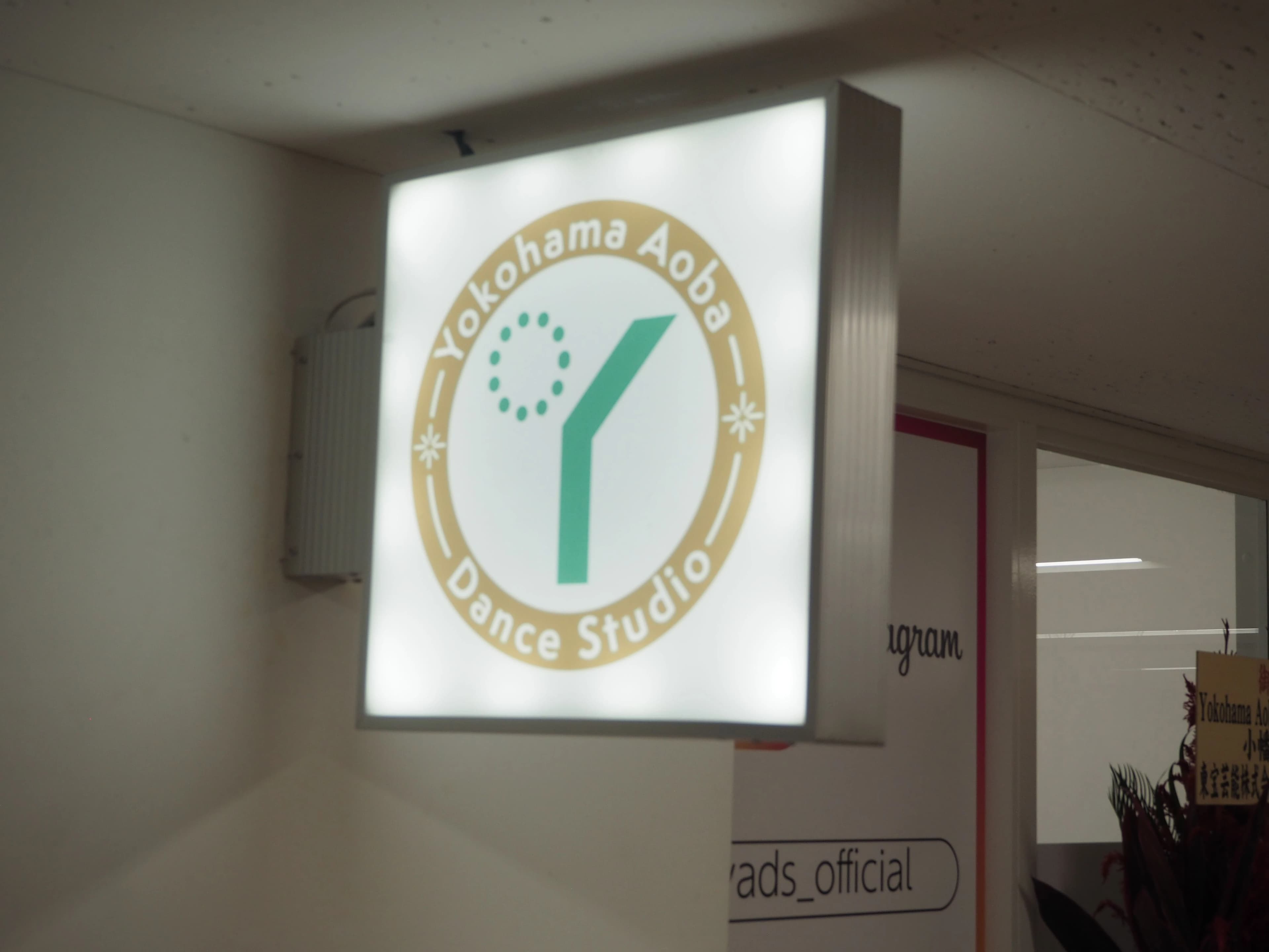 YADS バレエクラスのサムネイル画像 3