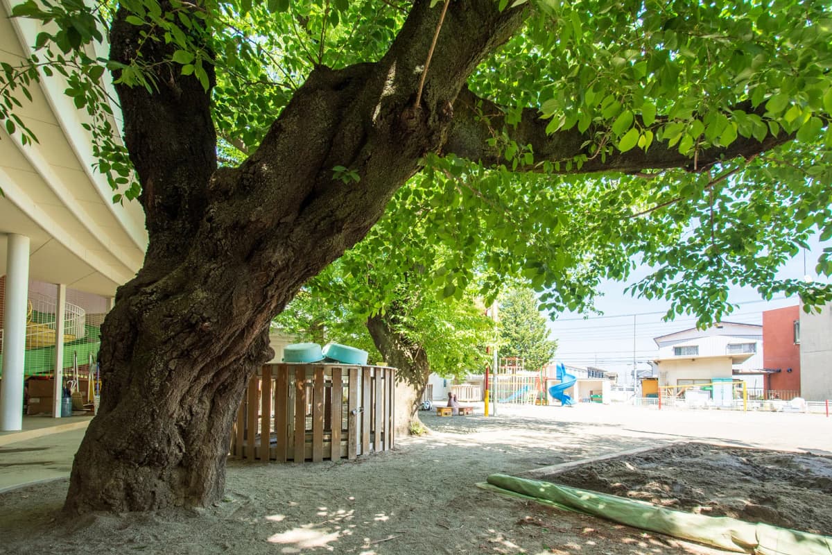 サムネイル画像 4