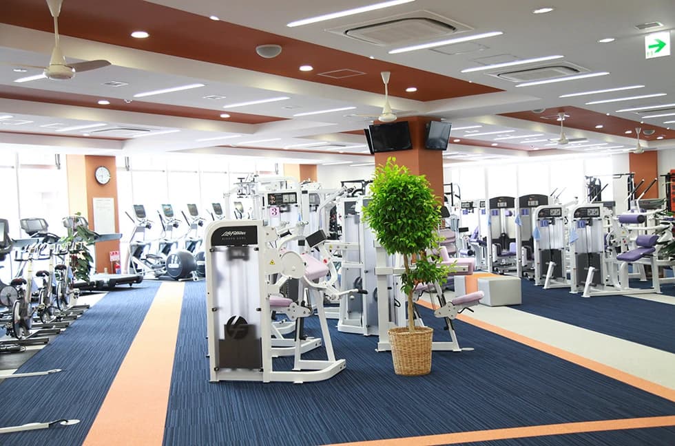 メガロス キッズ空手スクール 葛飾 画像 7