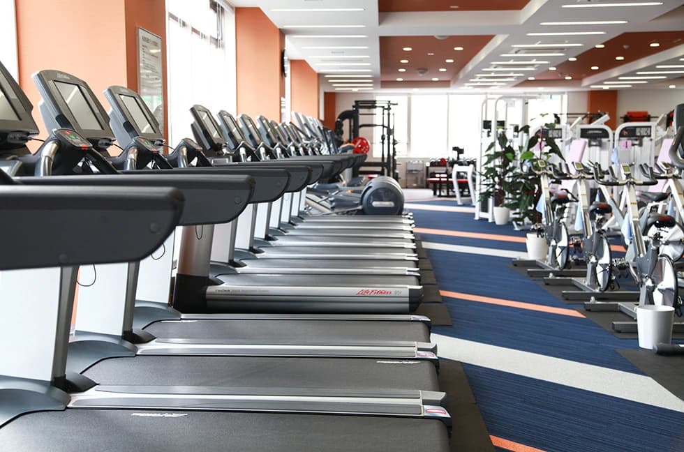 メガロス キッズ空手スクール 葛飾 画像 9