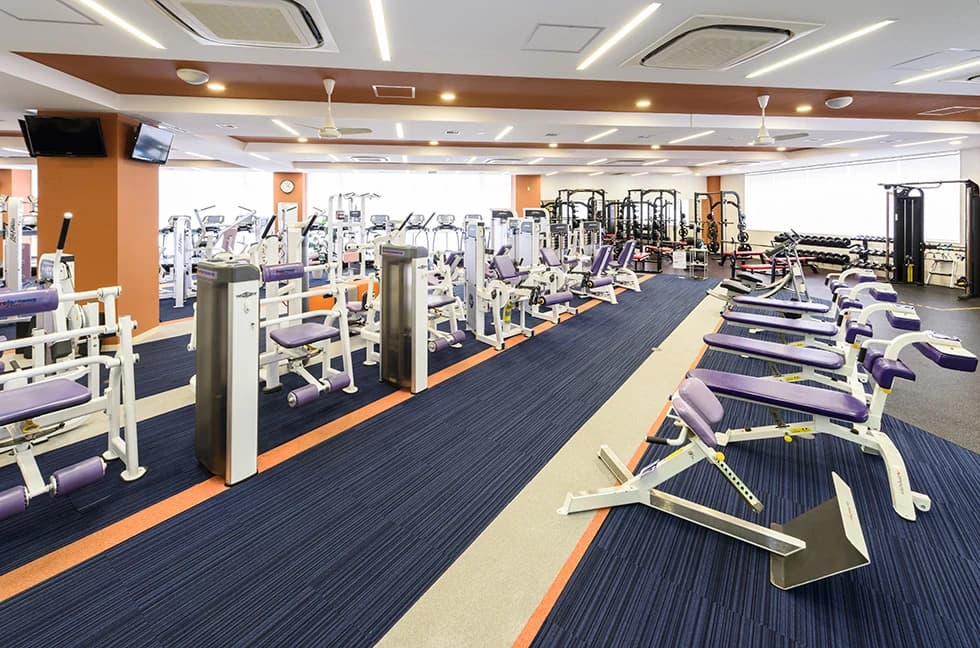 メガロス キッズ空手スクール 葛飾 画像 30