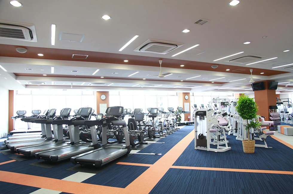 メガロス キッズ空手スクール 葛飾 画像 31