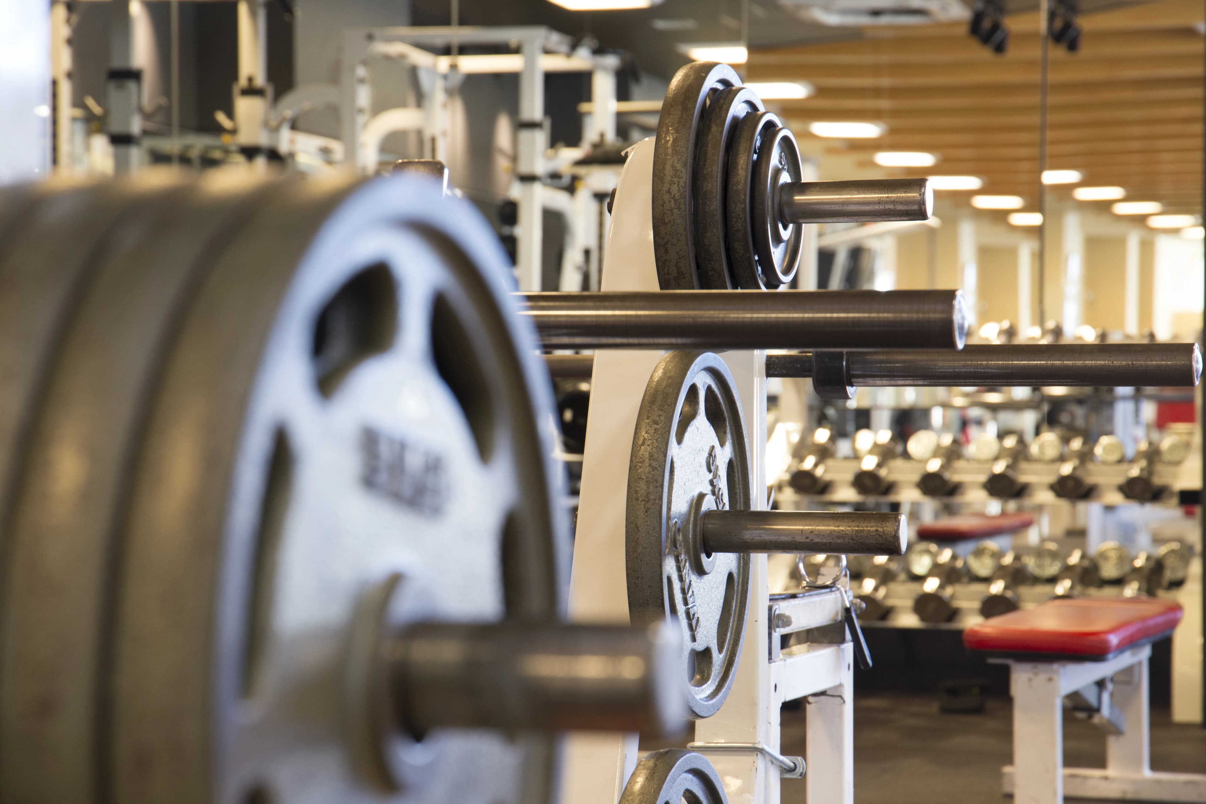 メガロス キッズダンススクール 綱島のサムネイル画像 2