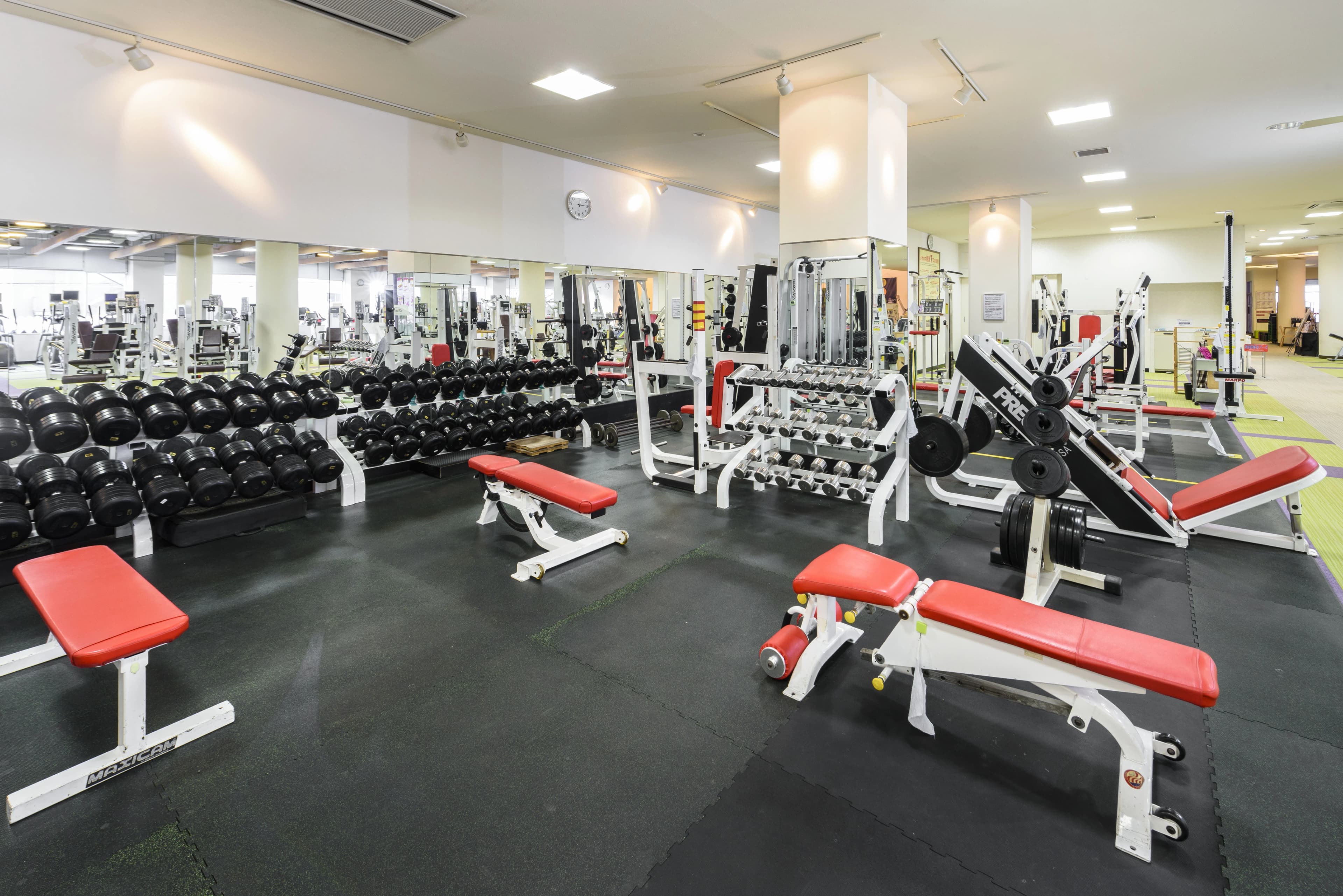 メガロス キッズダンススクール 大和のサムネイル画像 3