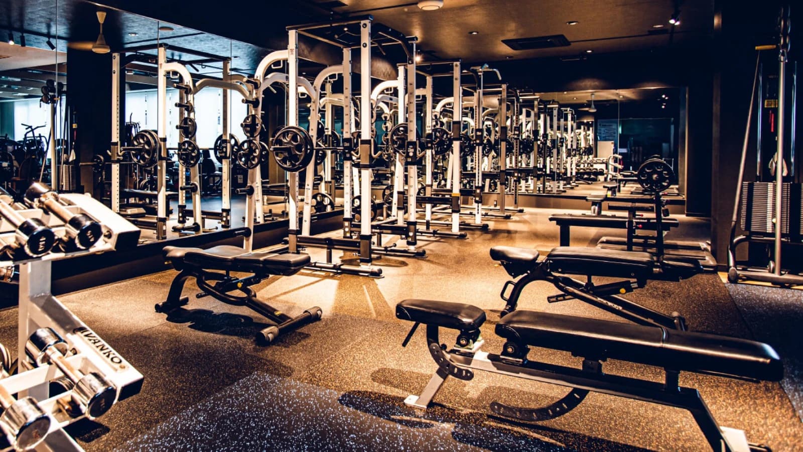 メガロス キッズチアダンススクール 上永谷 画像 15