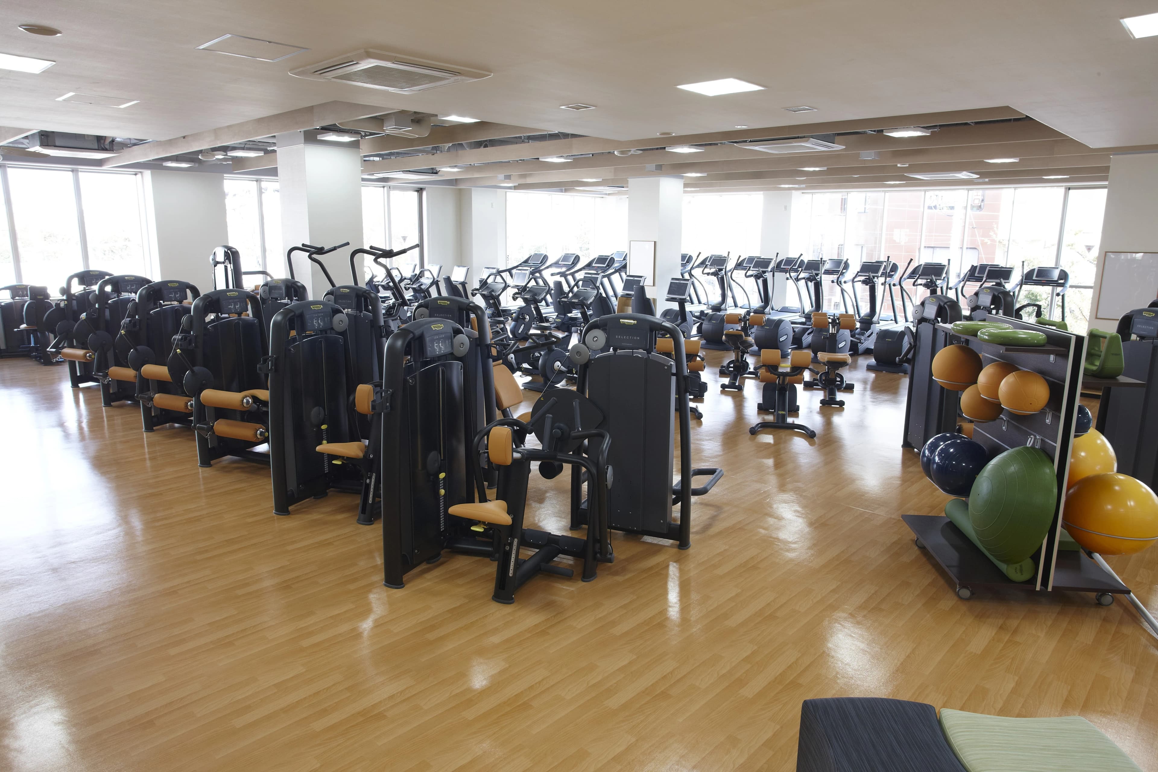 メガロス キッズチアダンススクール 上永谷 画像 2