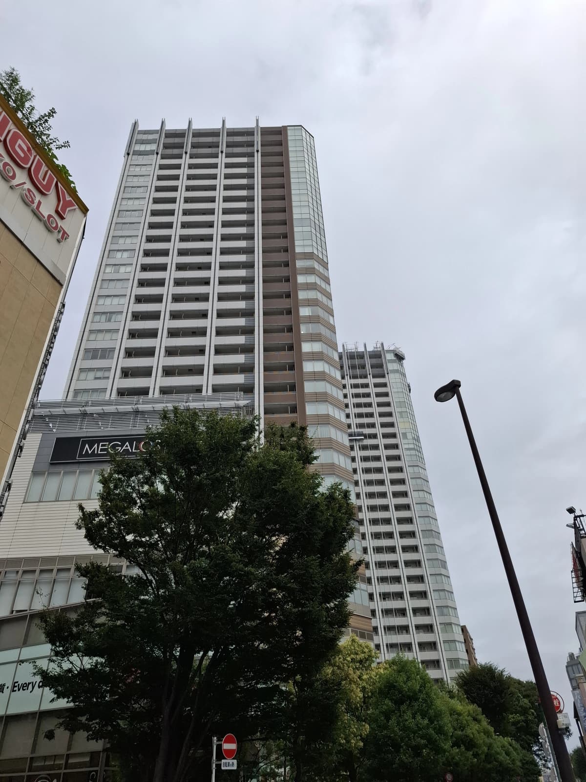 メガロス キッズスイミングスクール 三鷹 画像 55