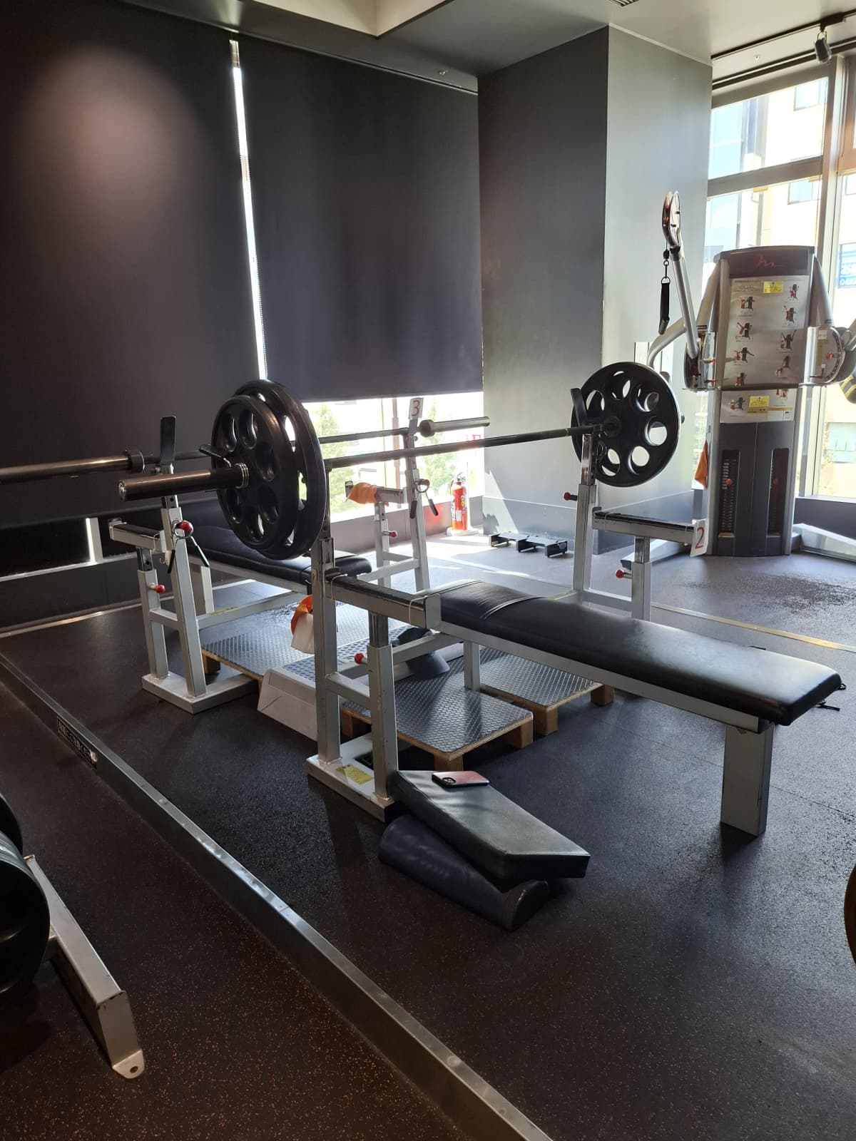 メガロス キッズスイミングスクール 三鷹 画像 60