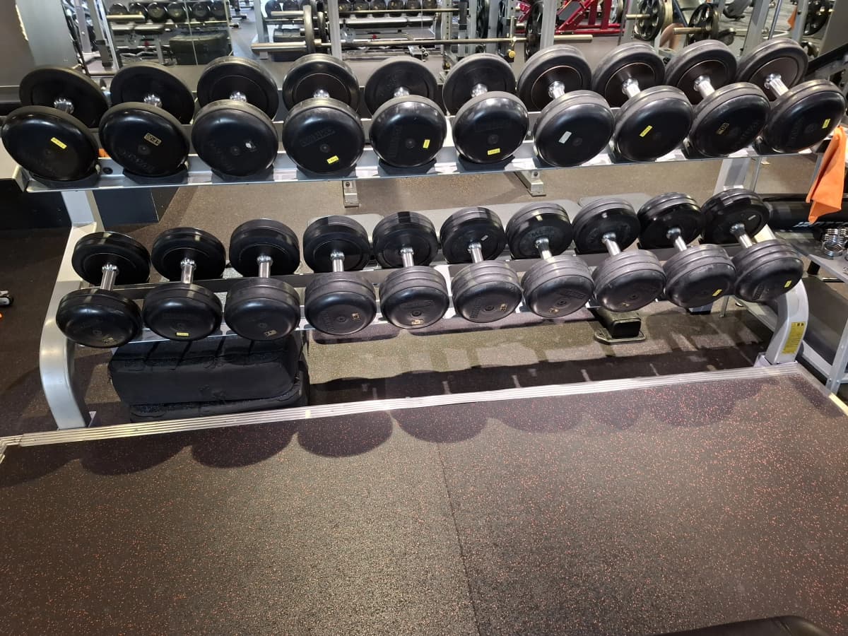 メガロス キッズスイミングスクール 三鷹 画像 67