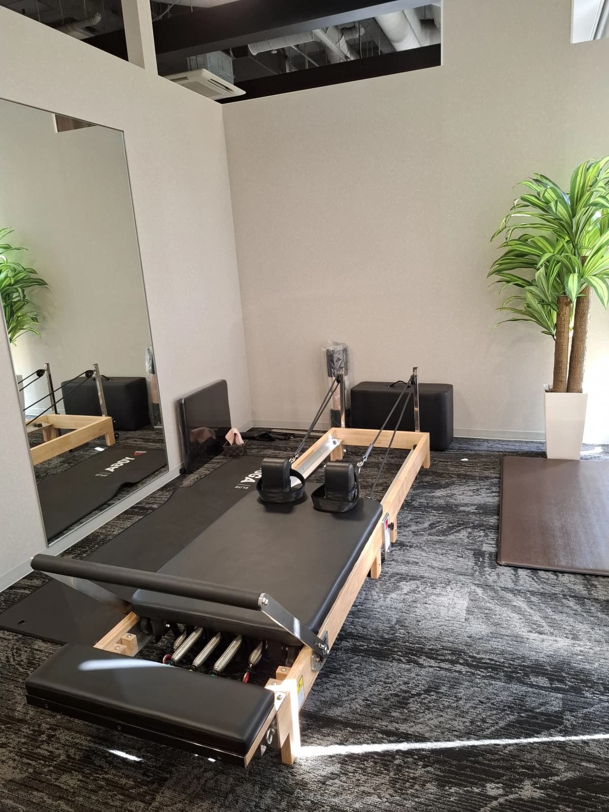 メガロス キッズスイミングスクール 三鷹 画像 78