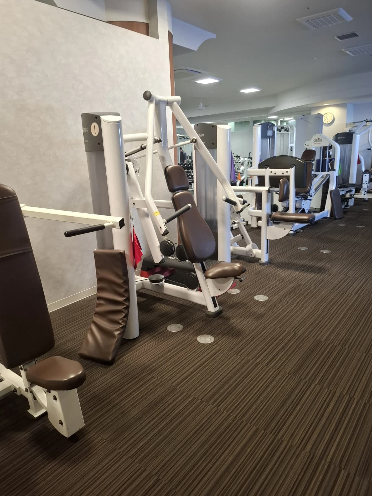 メガロス ベビースイミングスクール 立川(南館） 画像 46