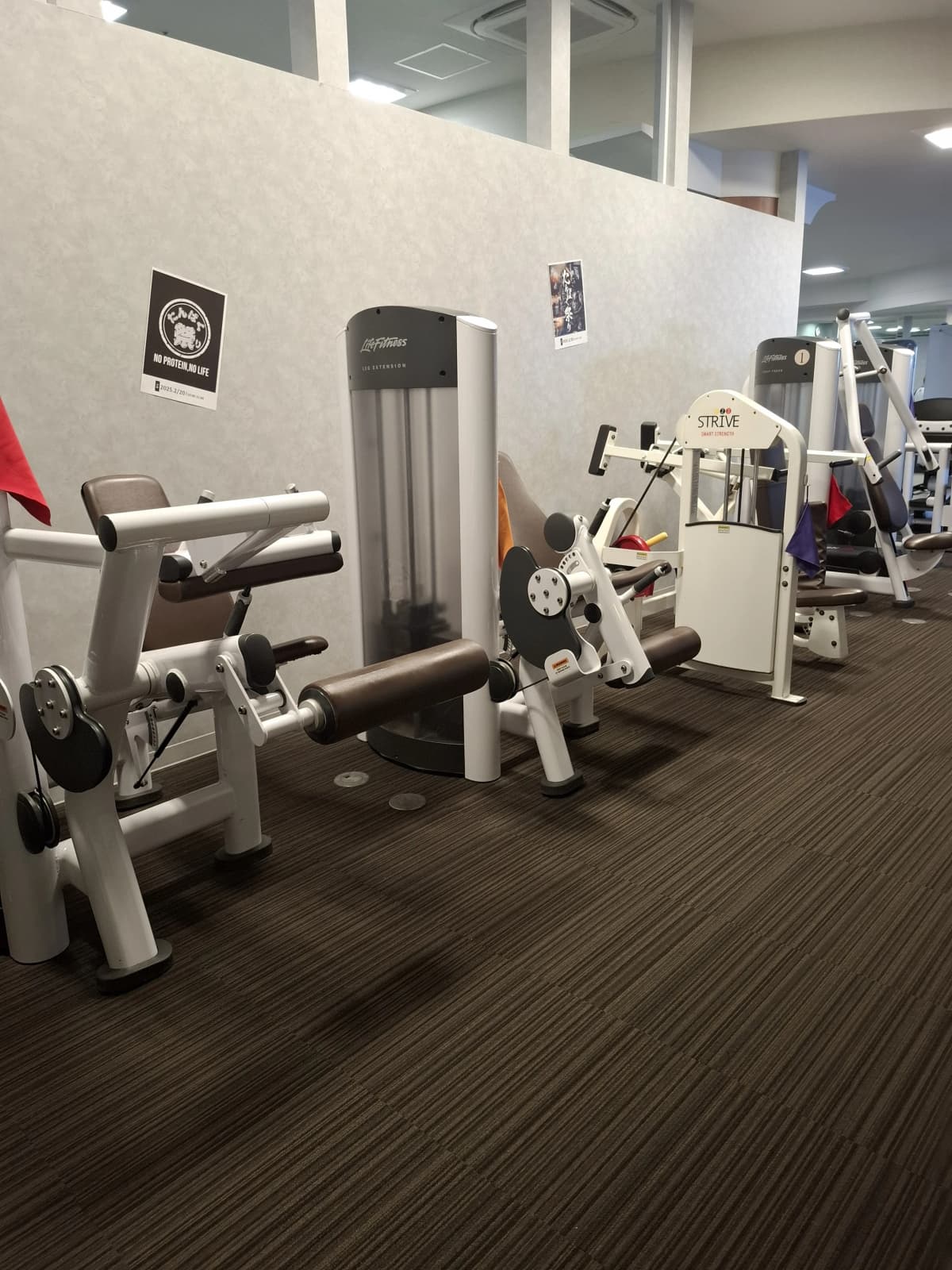 メガロス ベビースイミングスクール 立川(南館） 画像 49