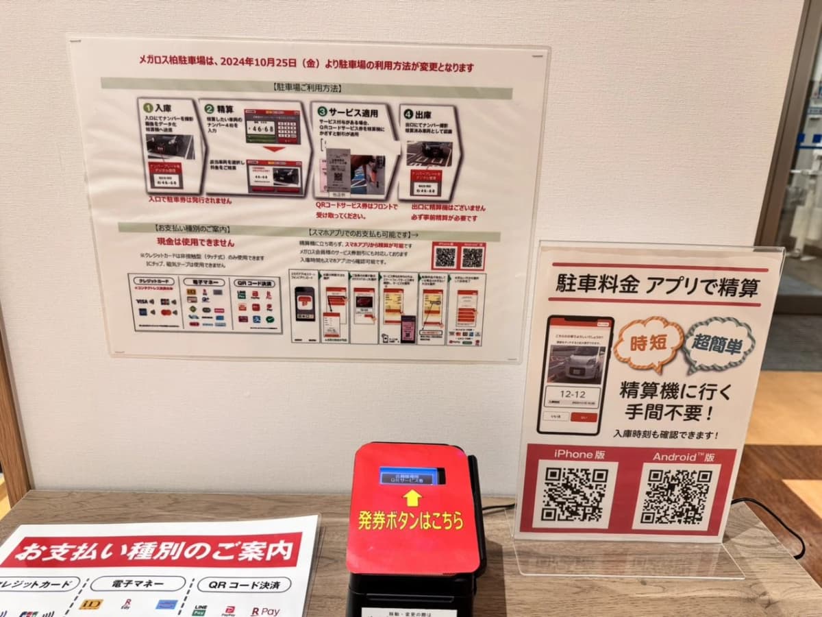 メガロス キッズスイミングスクール 柏 画像 15