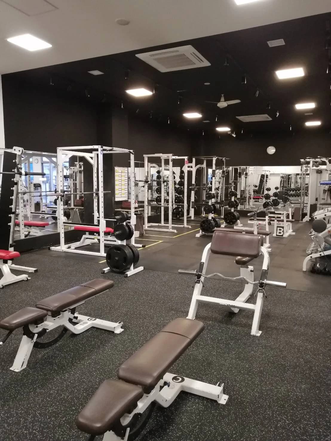 メガロス キッズスイミングスクール 柏 画像 20