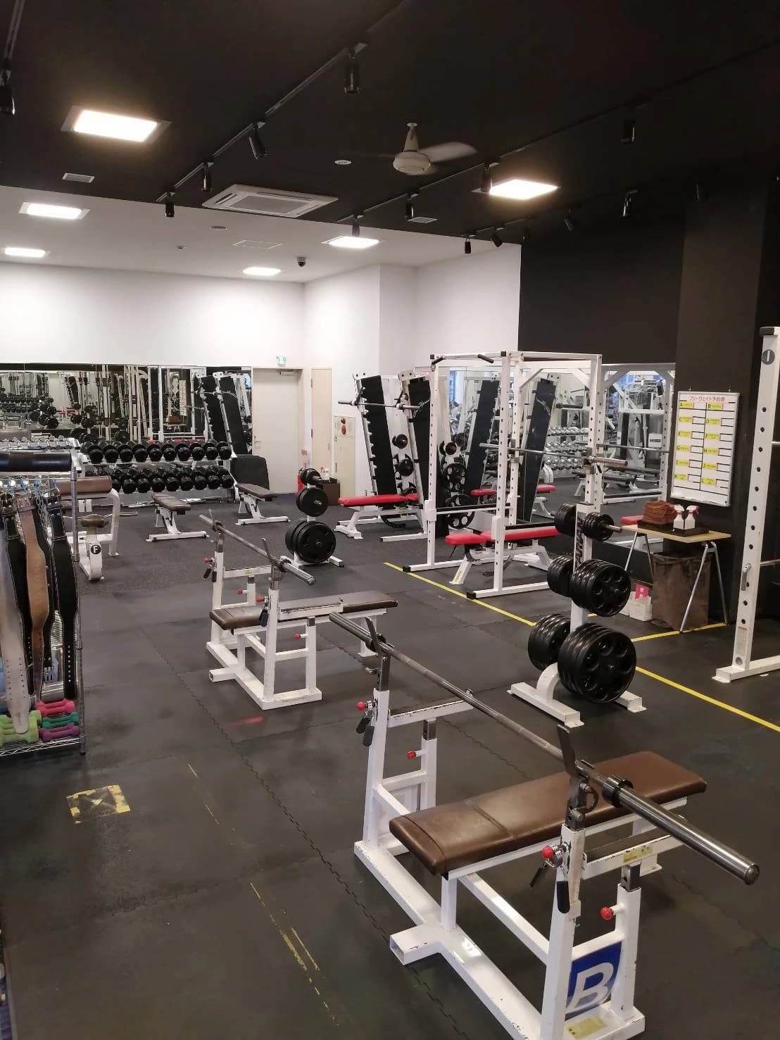 メガロス キッズスイミングスクール 柏 画像 21