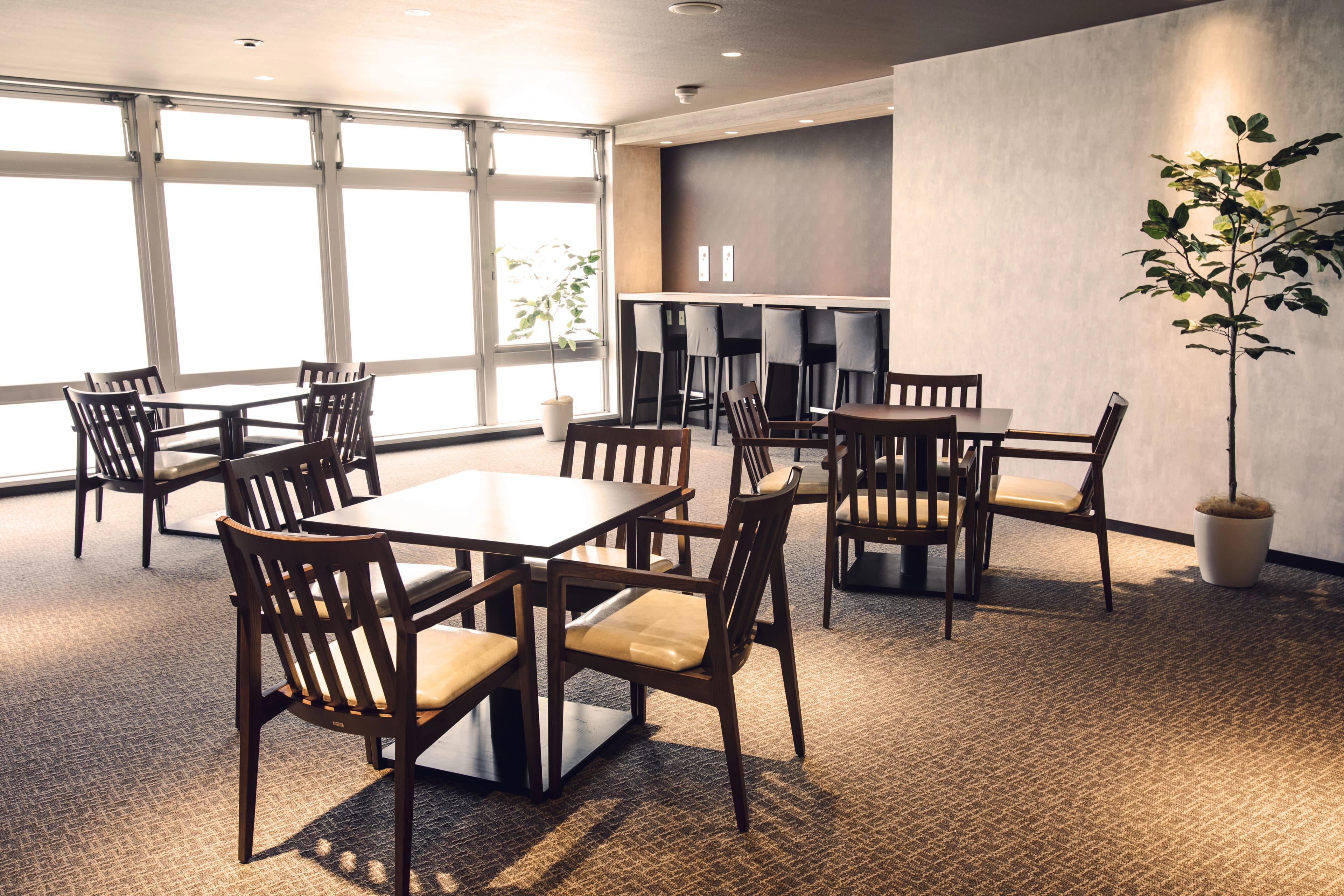 メガロス キッズテニススクール 草加のサムネイル画像 4