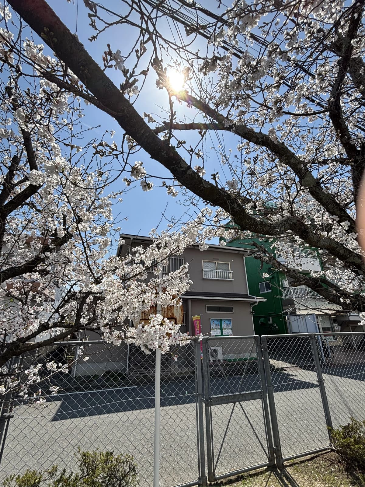 サムネイル画像 5