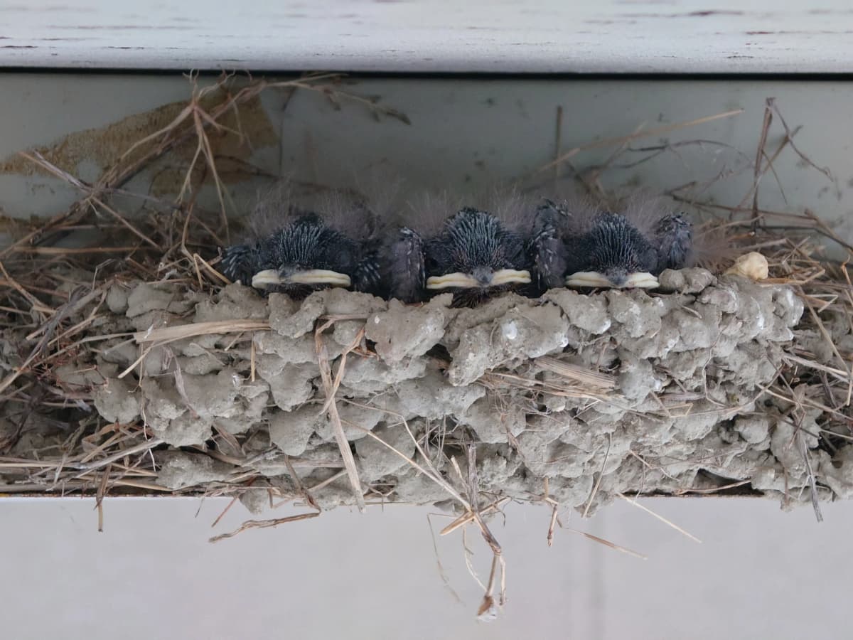 サムネイル画像 4