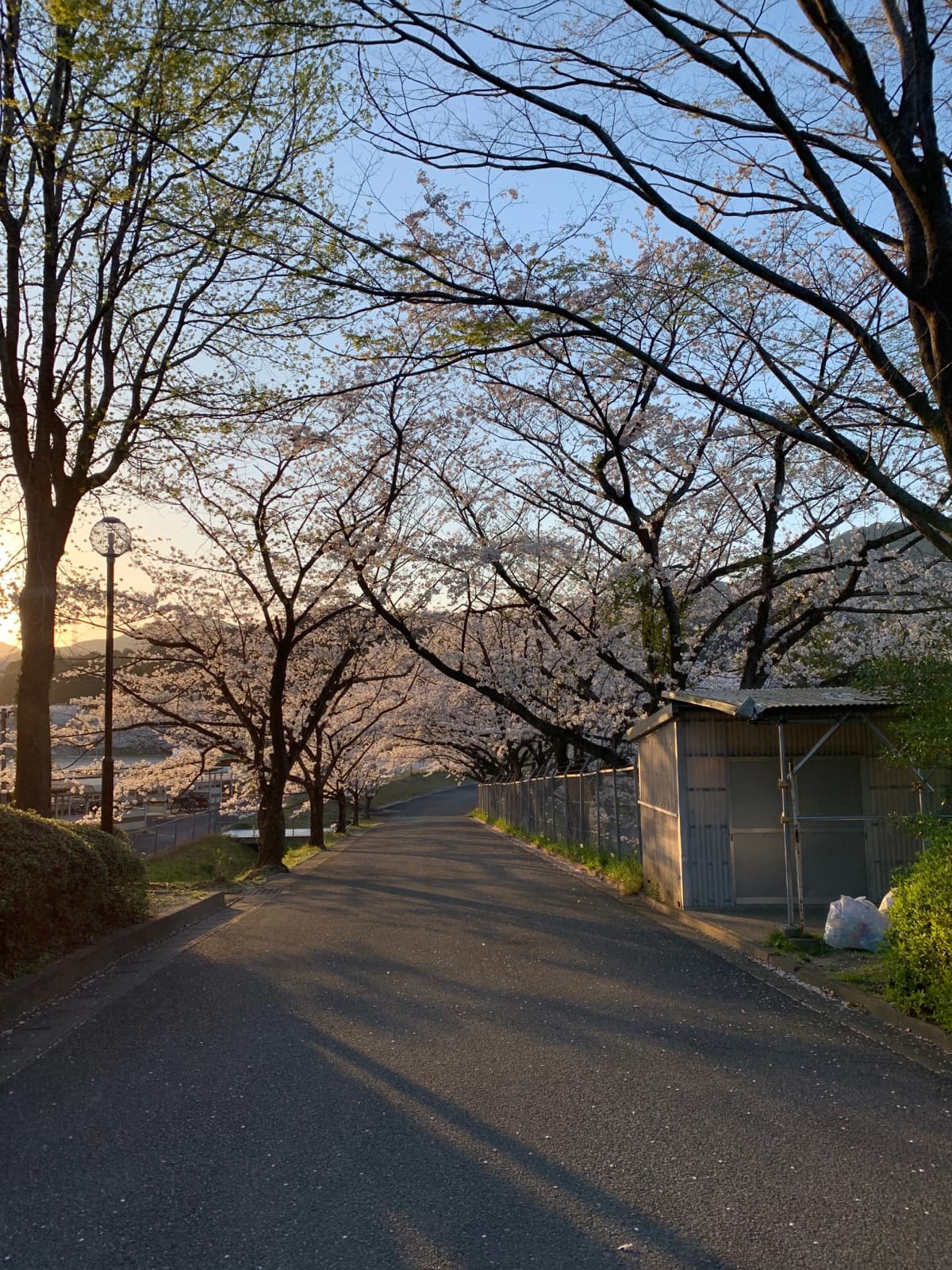 サムネイル画像 3