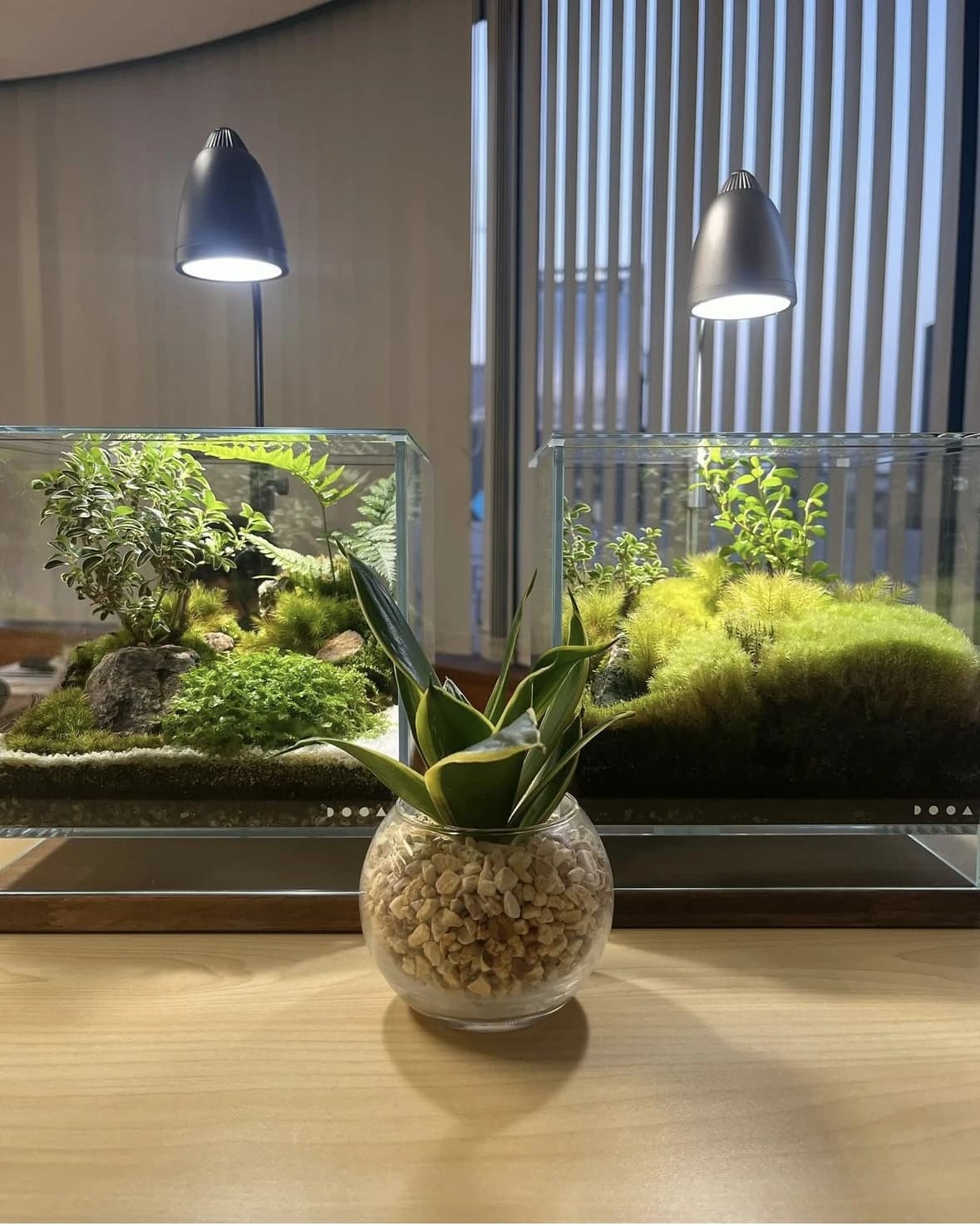 看護医療専門進学塾桜芽会のサムネイル画像 4