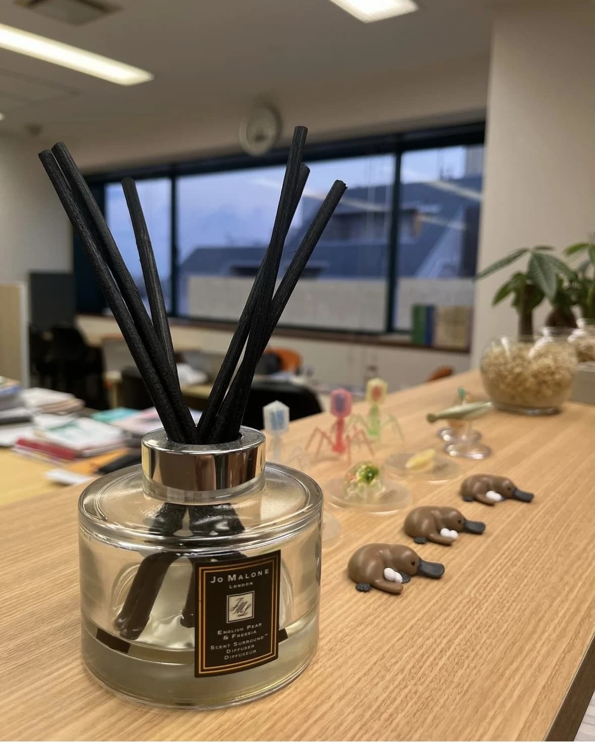 看護医療専門進学塾桜芽会のサムネイル画像 5